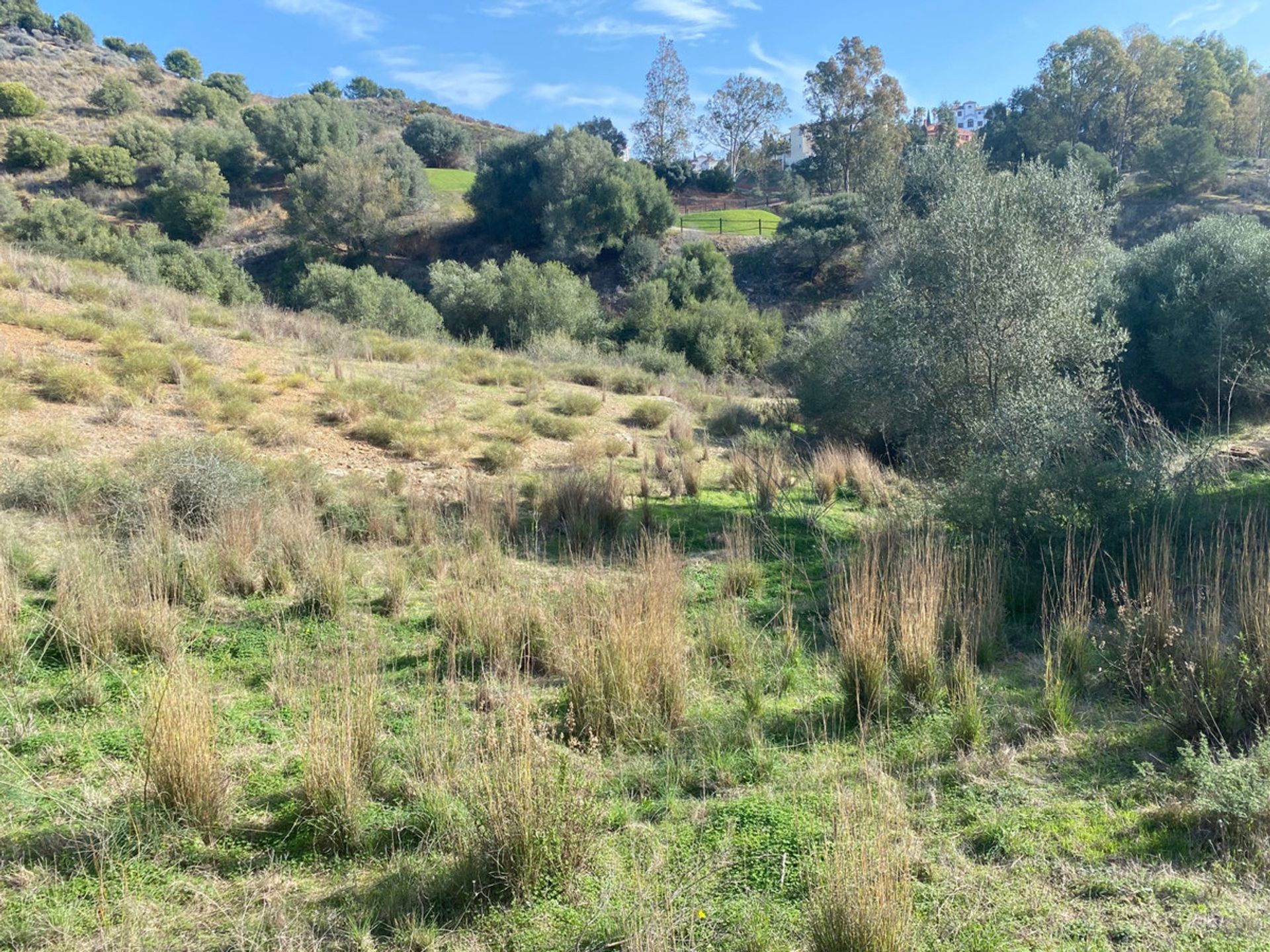 Terra no Las Lagunas de Mijas, Andalucía 10201416