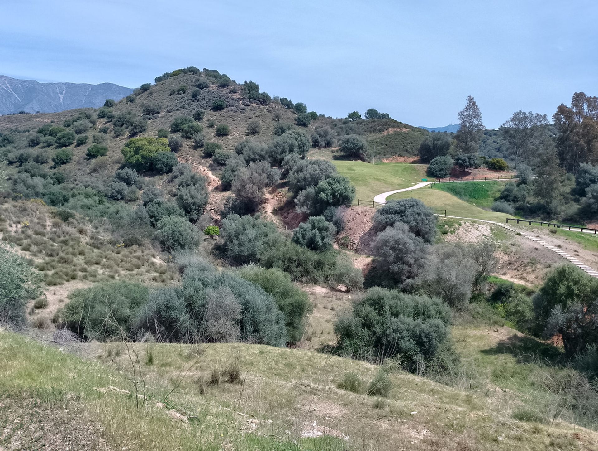 Terre dans Fuengirola, Andalousie 10201417