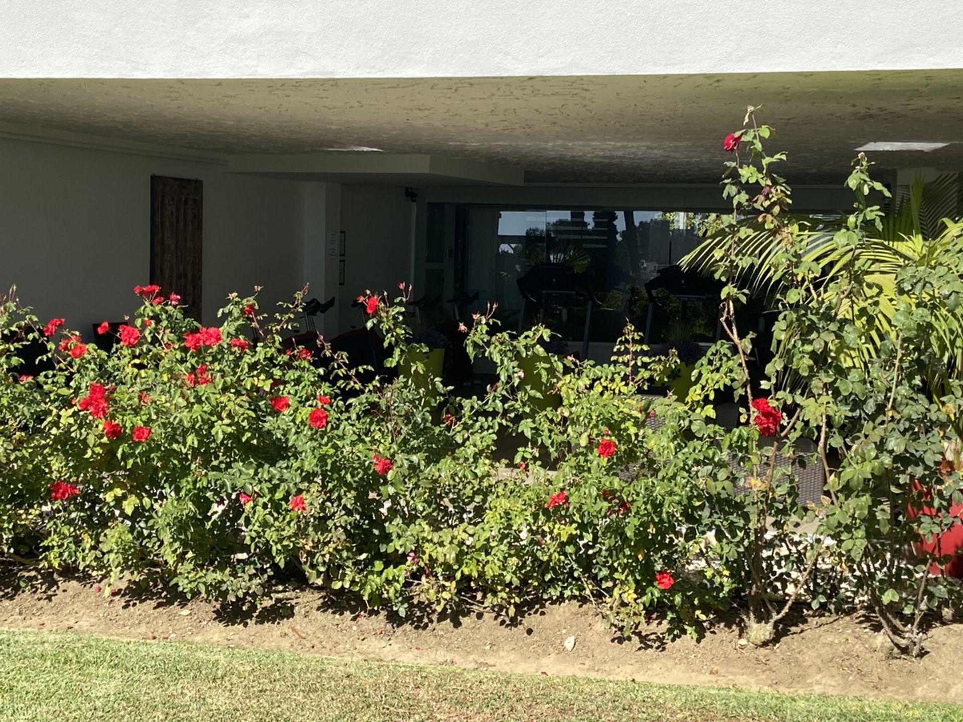 Condominium in El Palo, Andalusië 10201437