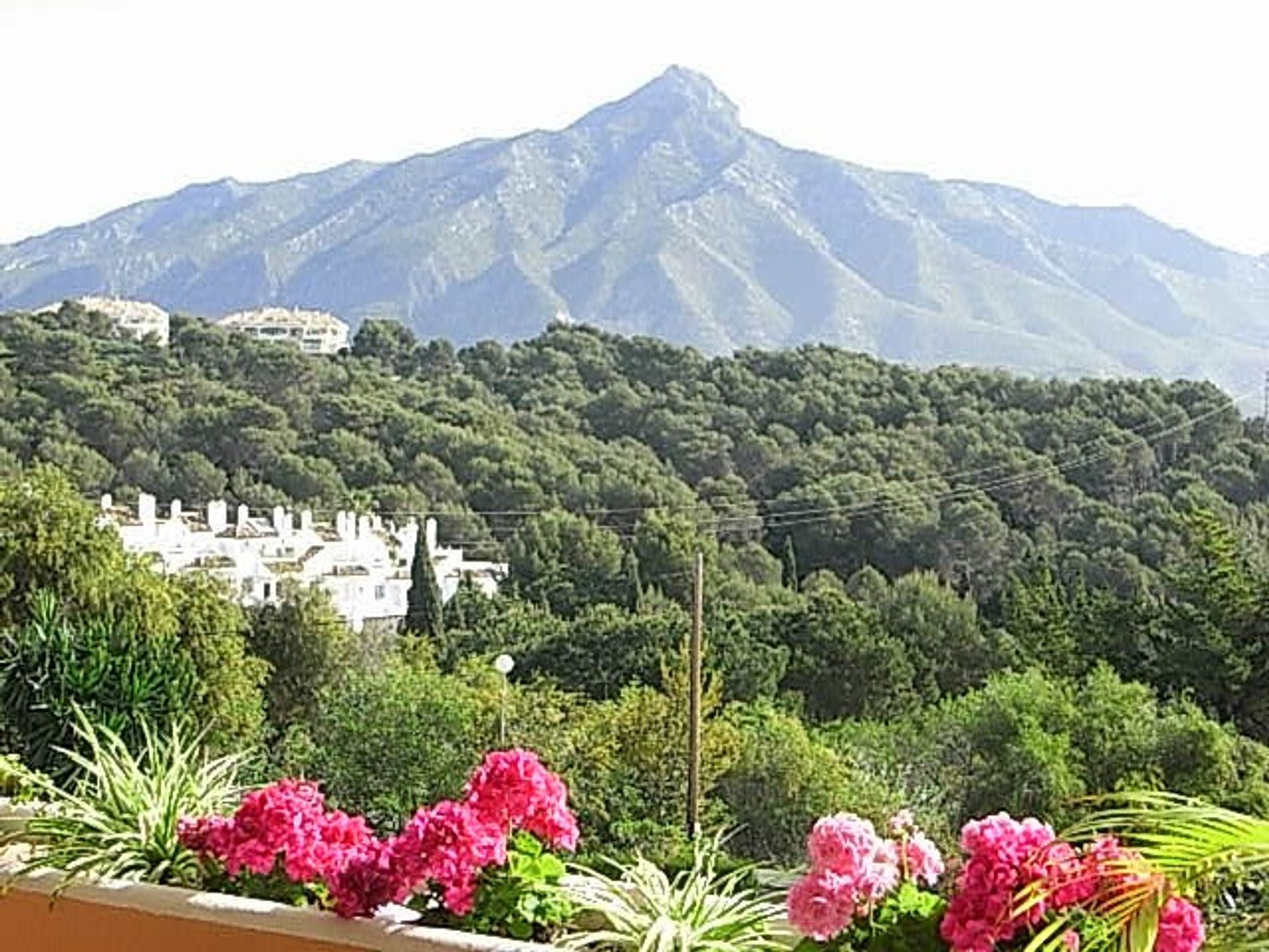 Huis in El Engel, Andalusië 10201848