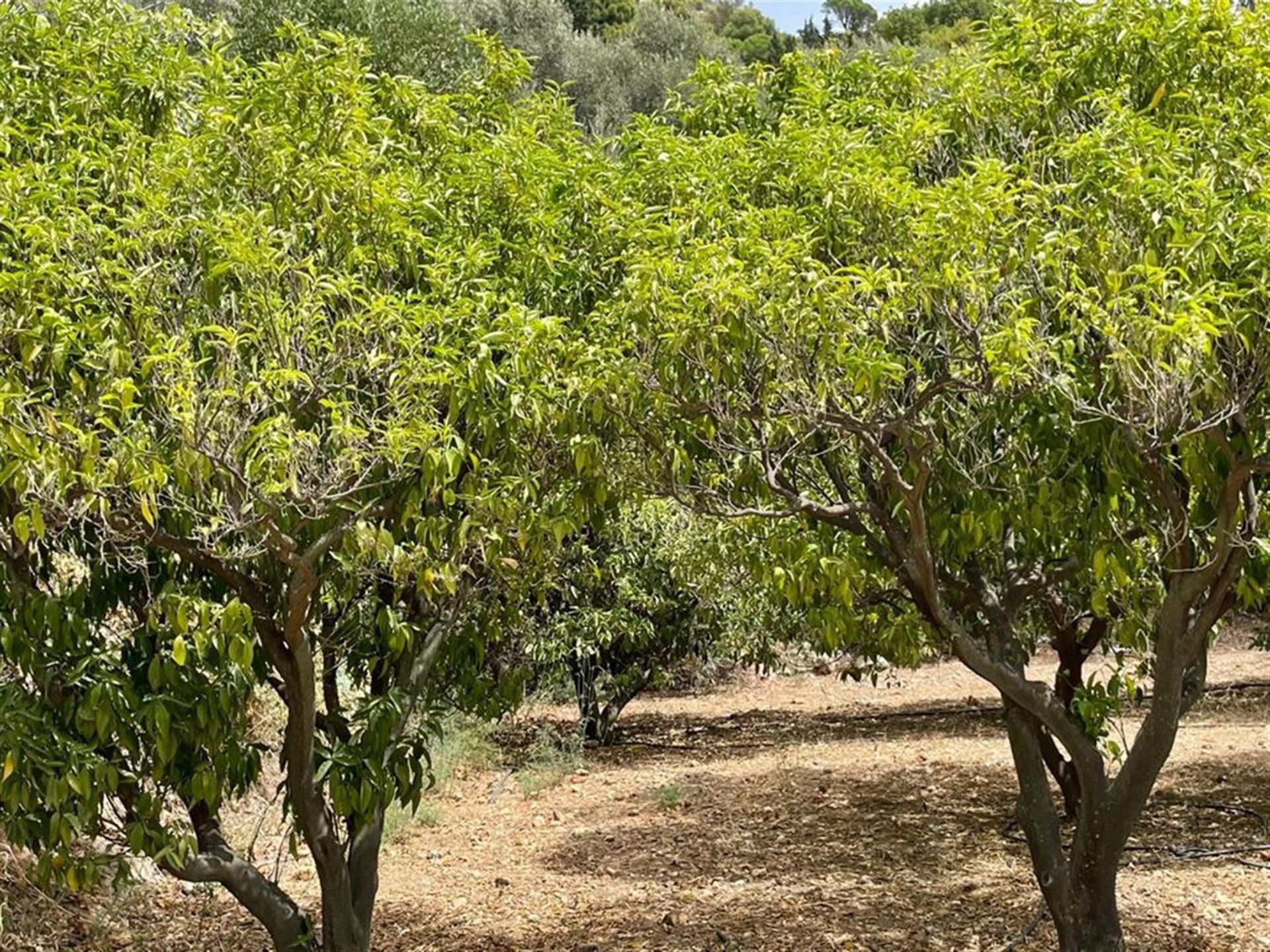 房子 在 Mijas, Andalucía 10201887