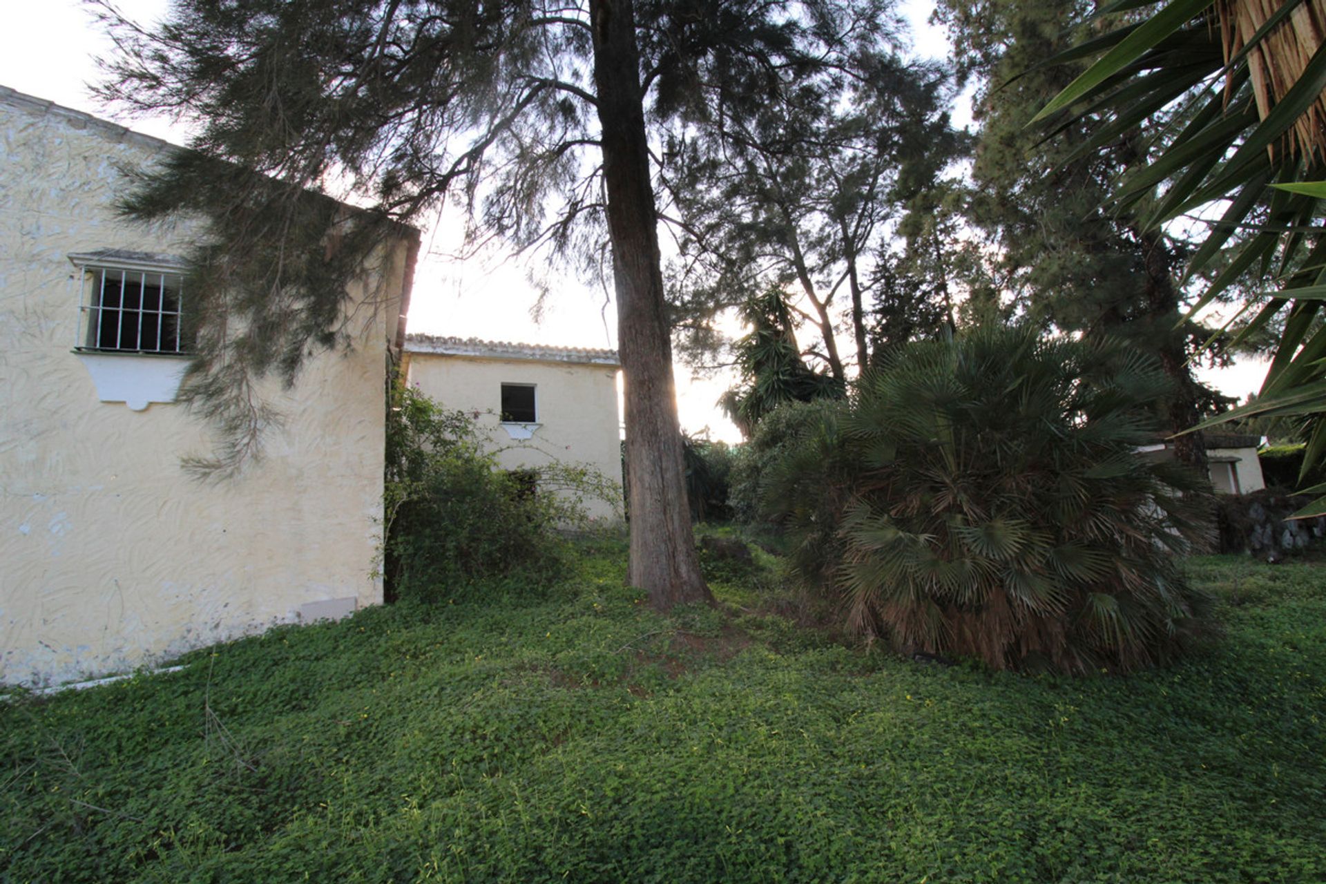 House in San Pedro de Alcantara, Andalusia 10202261