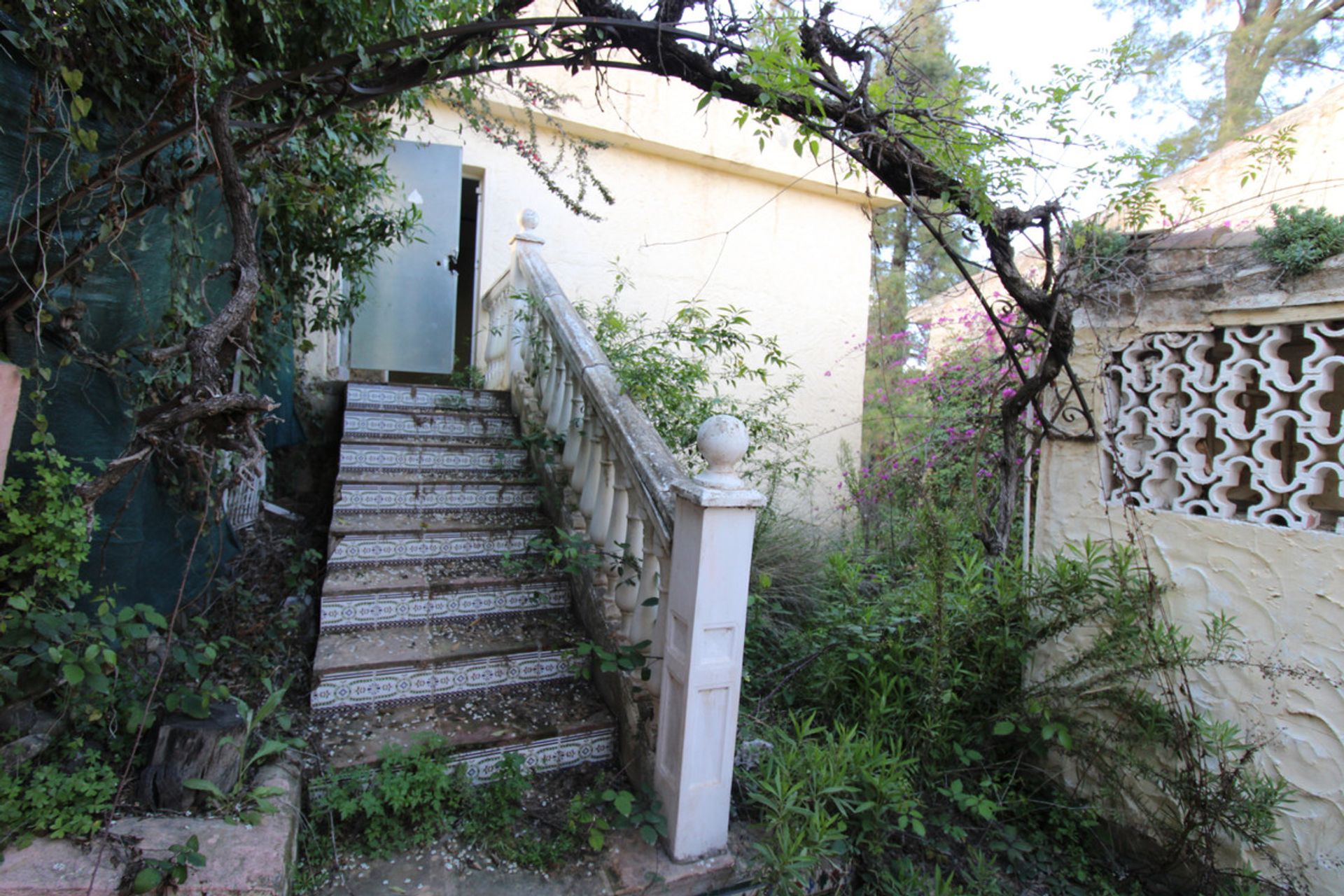 House in San Pedro de Alcantara, Andalusia 10202261