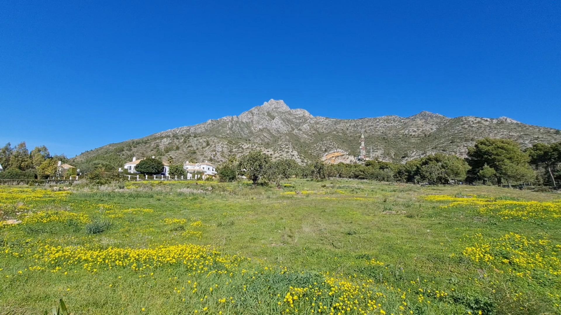 Land in Marbella, Andalusië 10202345