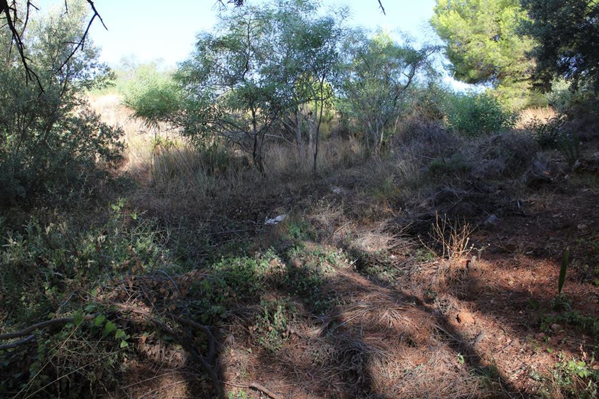 Land in Alhaurin el Grande, Andalusië 10202731