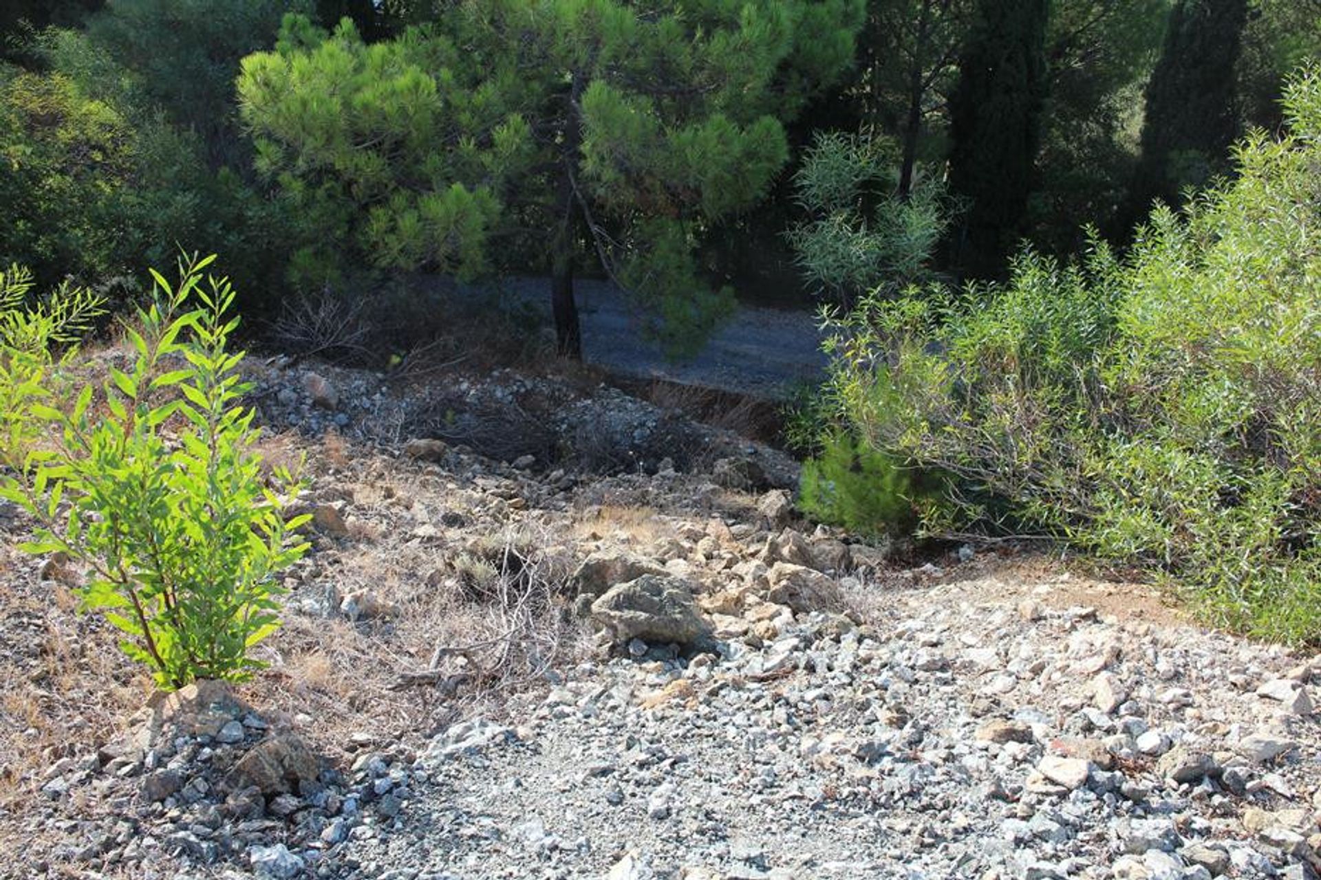 Terre dans Valtocado, Andalusia 10202731