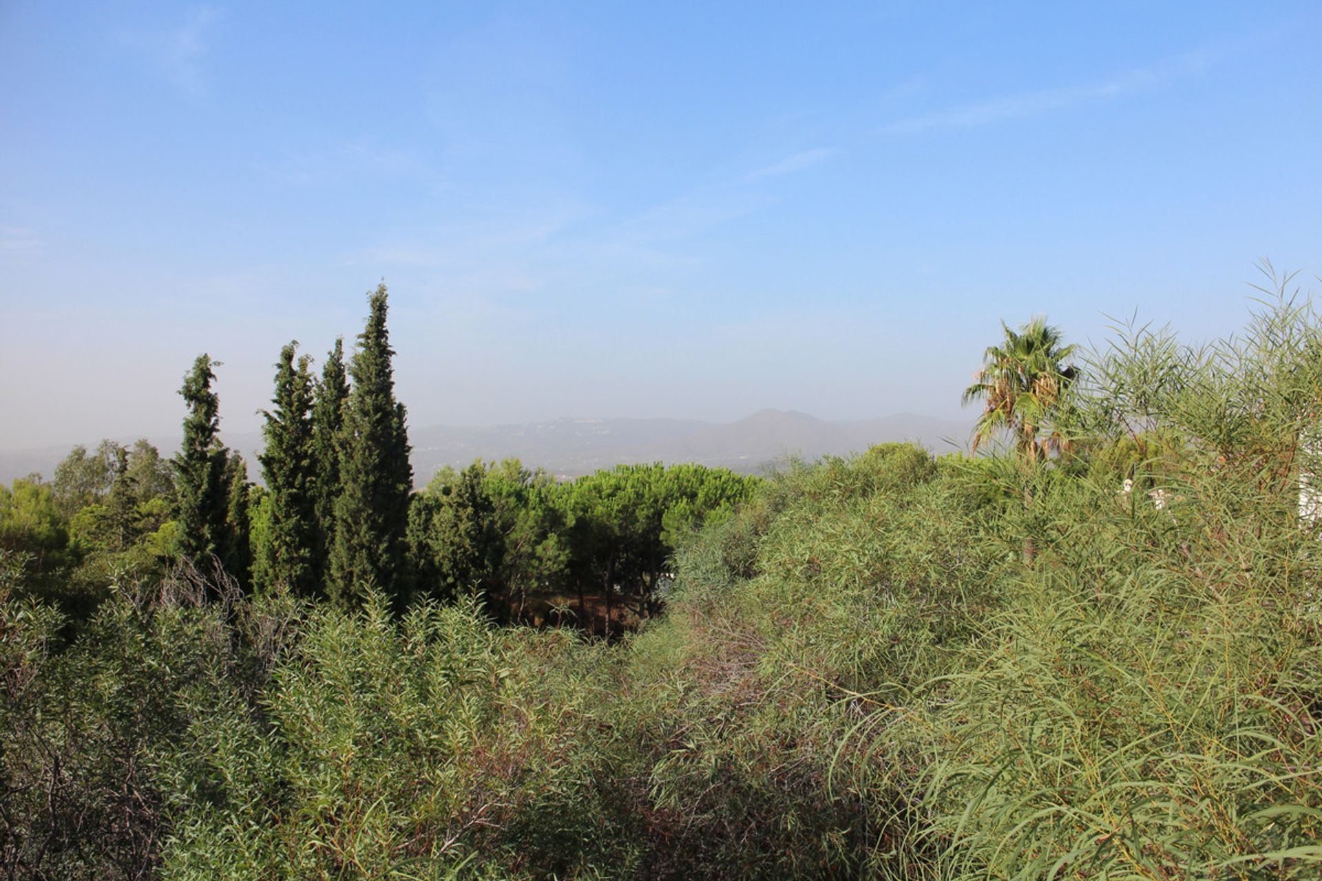 Terre dans Valtocado, Andalusia 10202731