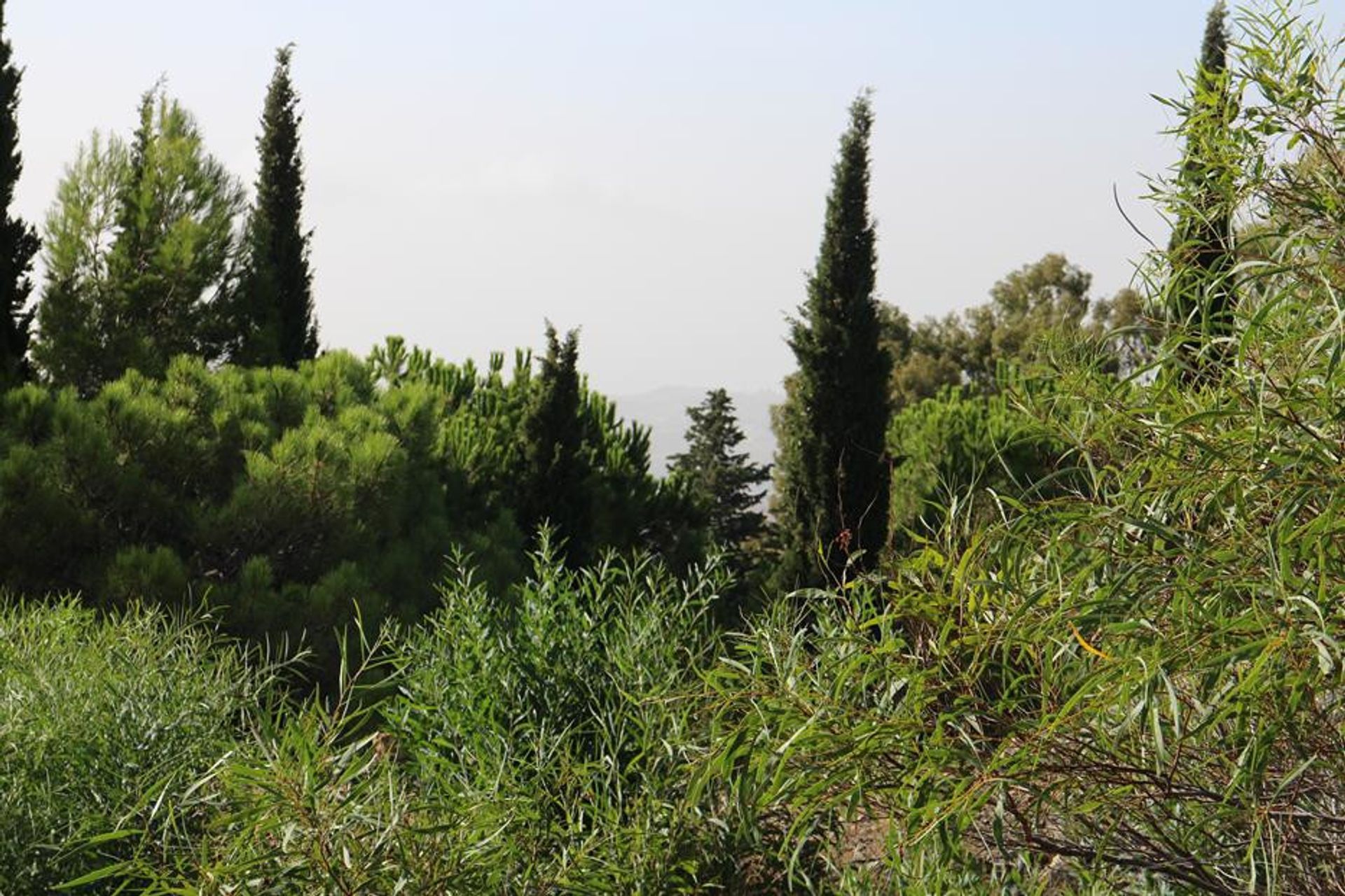 Terre dans Valtocado, Andalusia 10202731