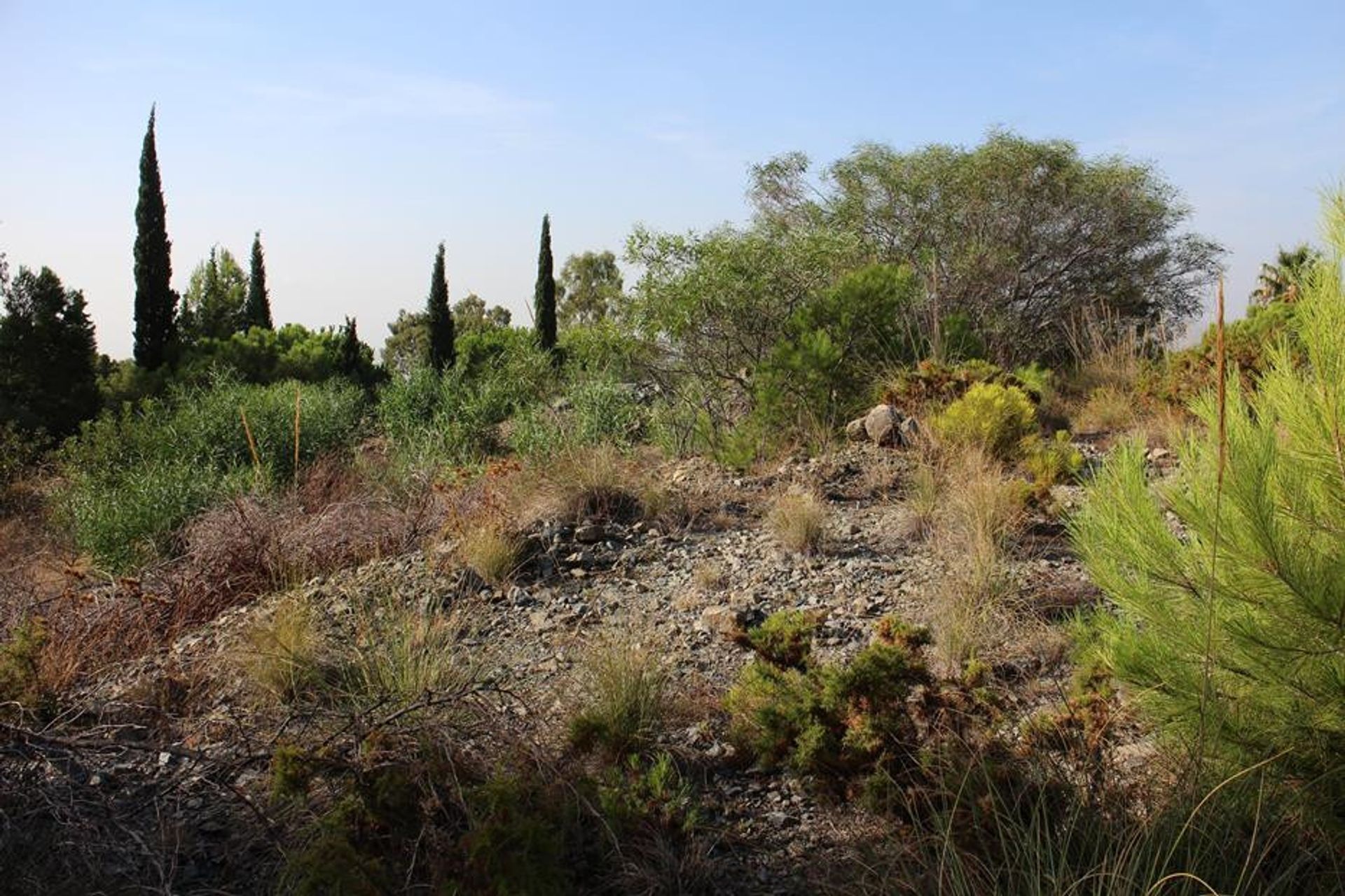 Land in Alhaurin el Grande, Andalusië 10202731