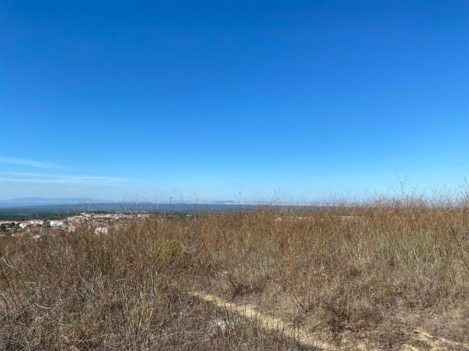 Land in Cotovia, Setubal 10202979