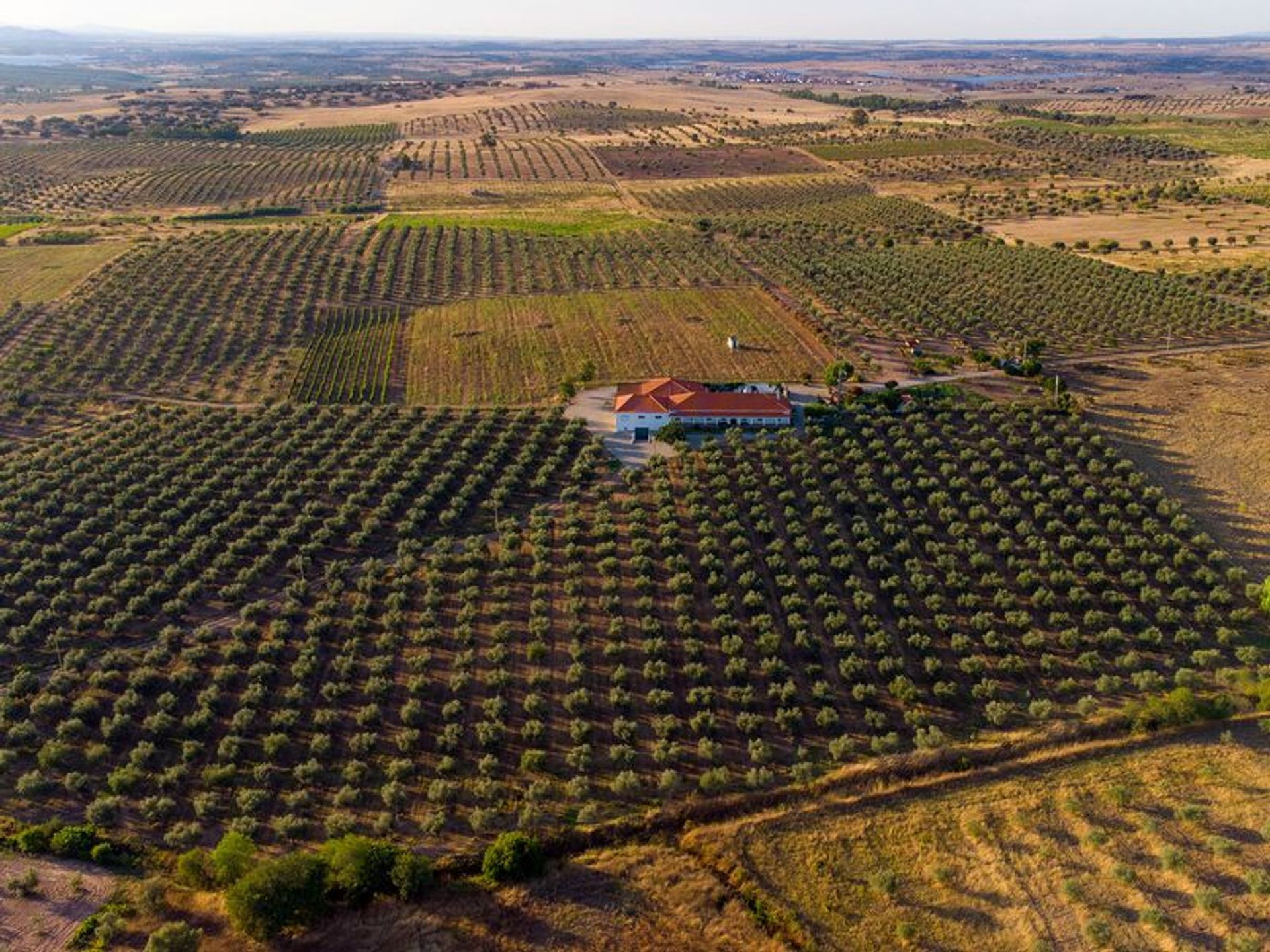 σπίτι σε Amareleja, Beja 10203004