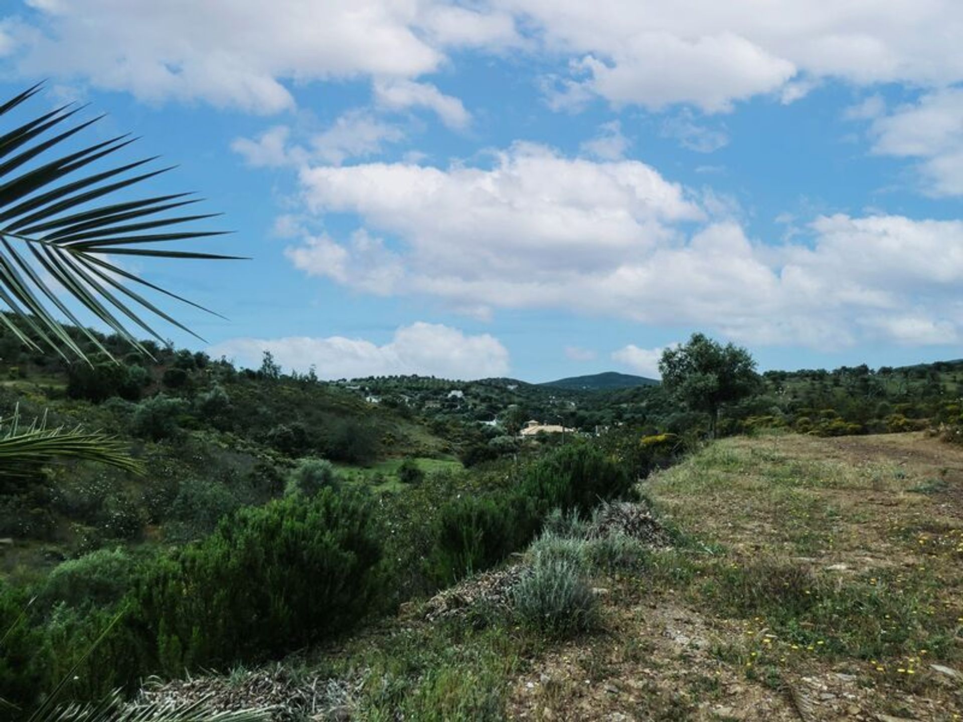 Land in Moncarapacho, Faro 10203023