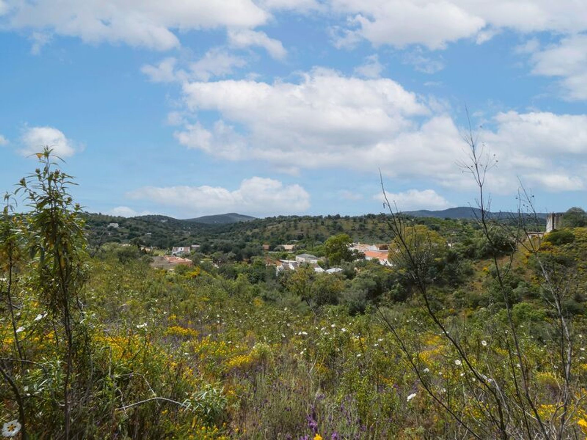 土地 在 Santa Catarina da Fonte do Bispo, Faro 10203023