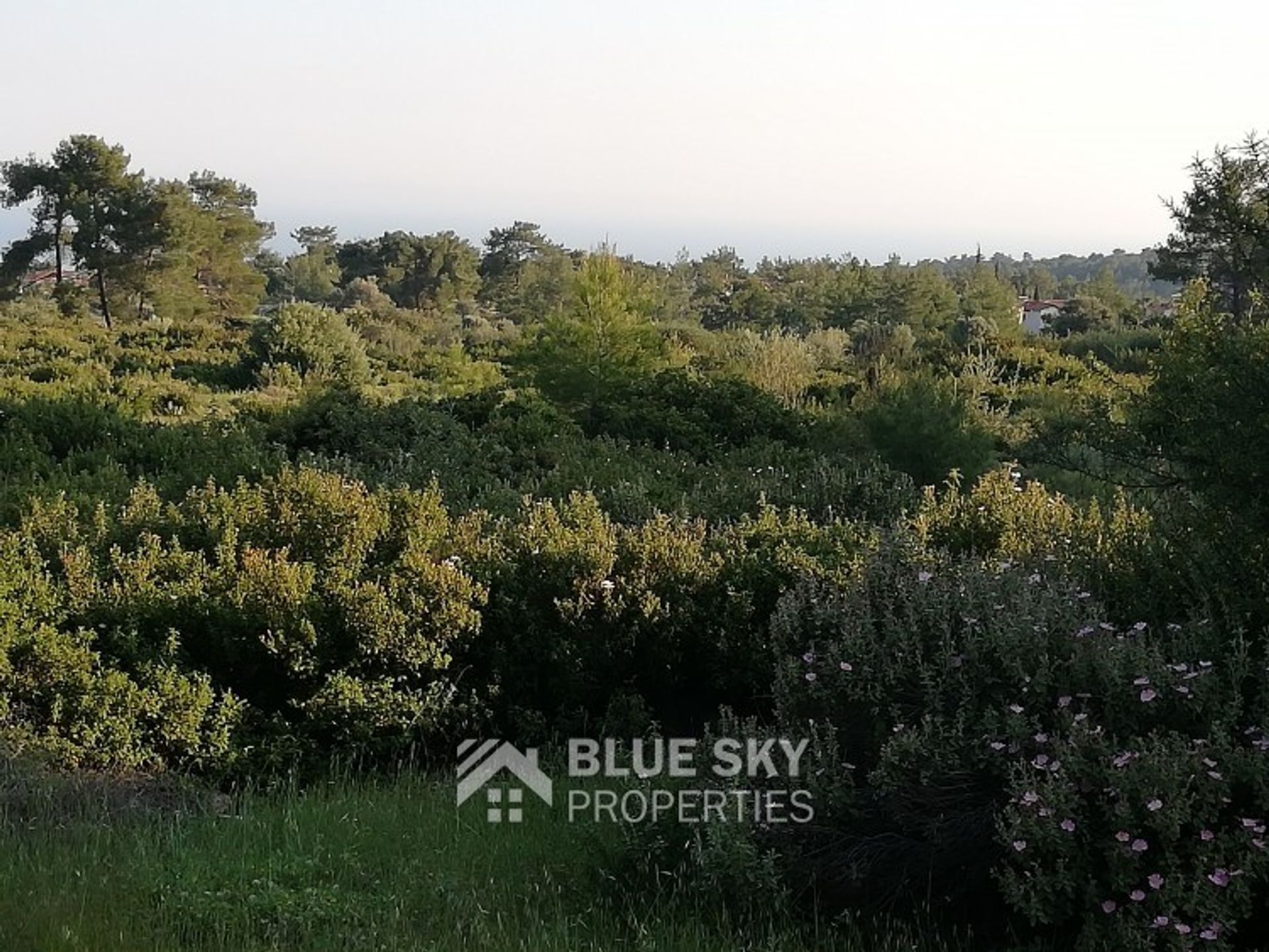 Land in Pyrgos, Larnaka 10203375