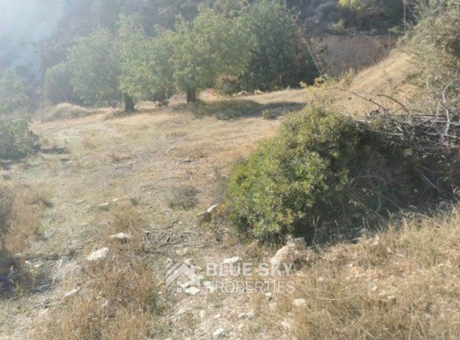 Land in Parkklisia, Larnaca 10203406