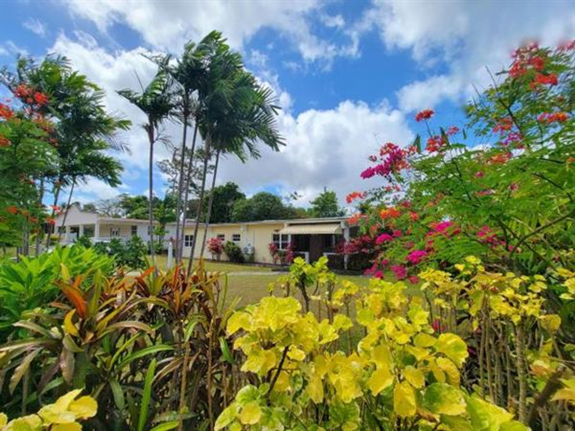 casa no Bonwell, são José 10204023