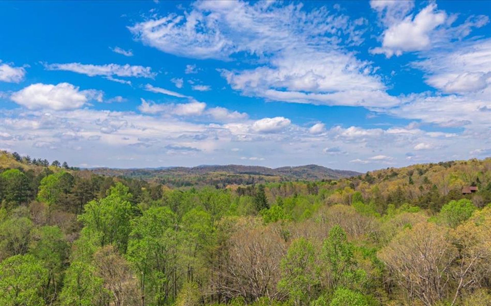 Jord i Blue Ridge, Georgia 10204118