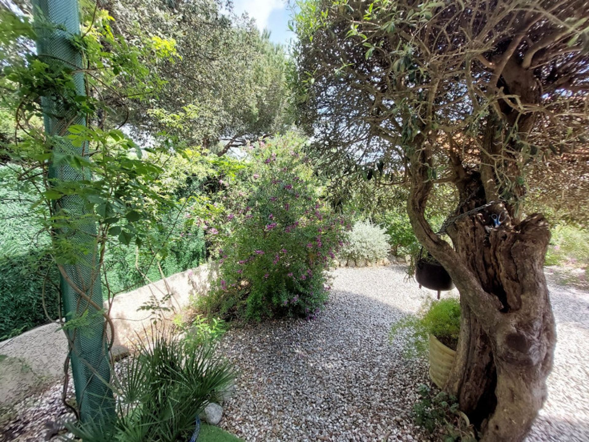 Rumah di Argelès-sur-Mer, Occitanie 10205093