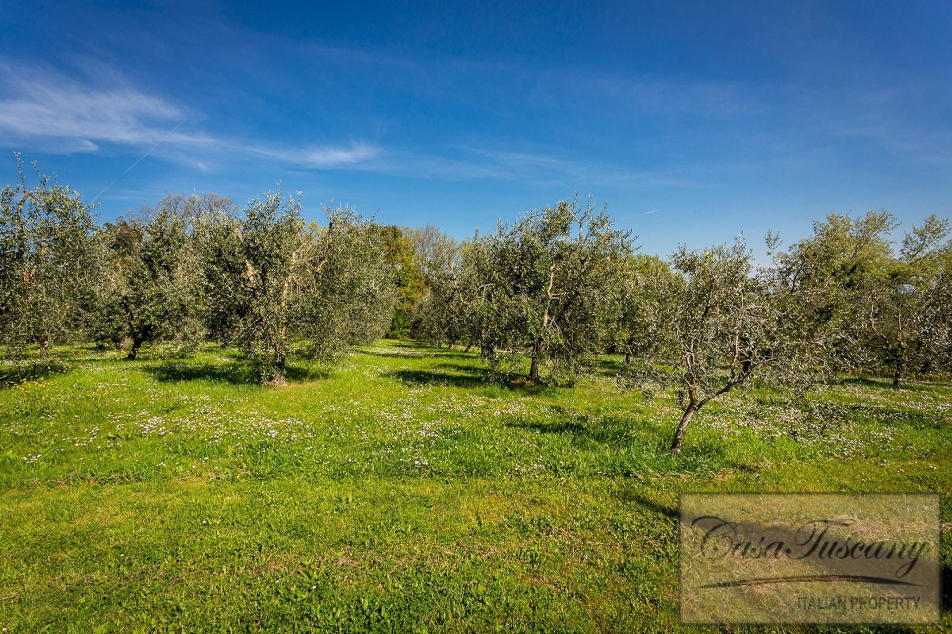 casa no Livorno, Tuscany 10205102