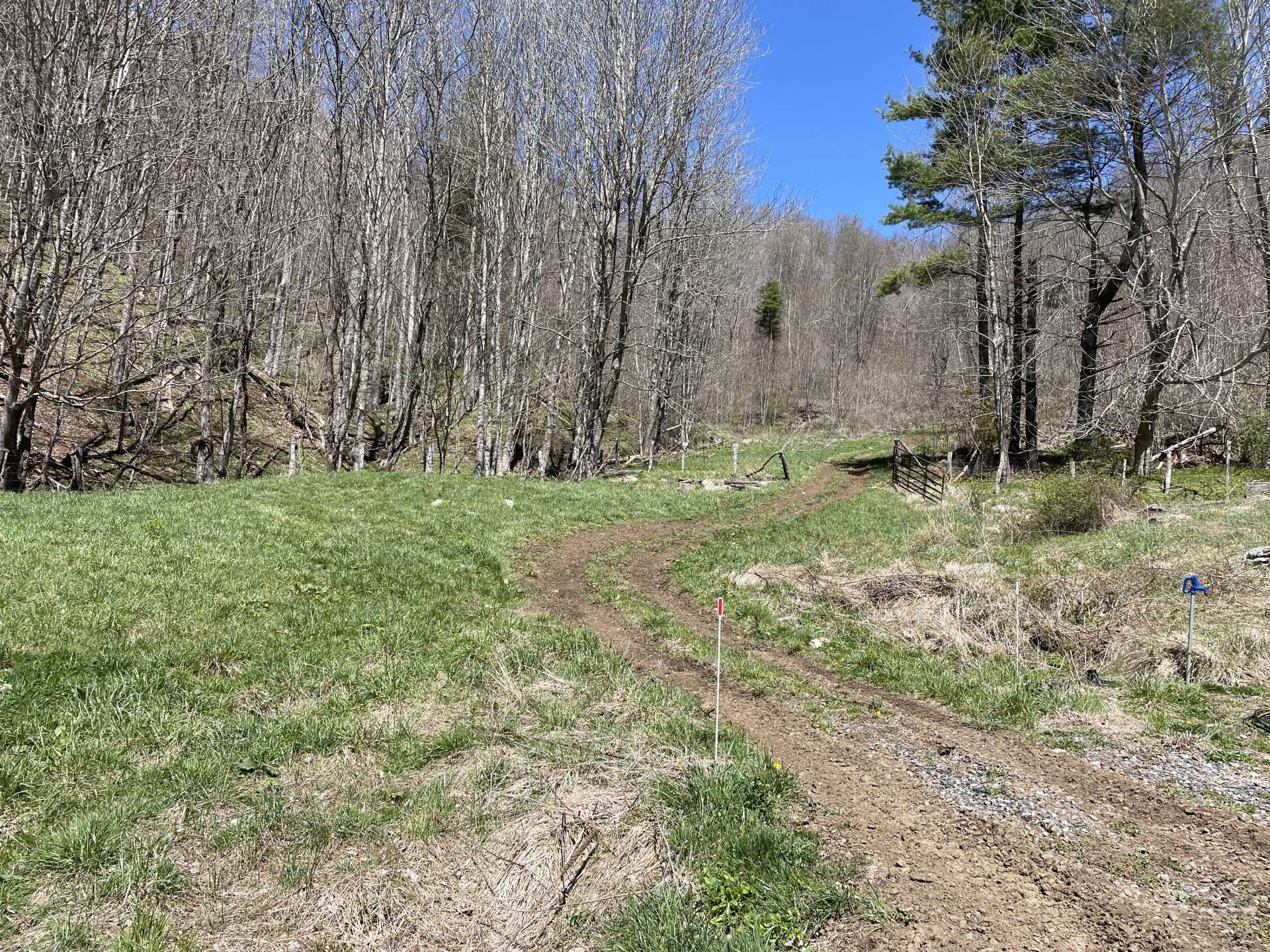 Eigentumswohnung im Creston, North Carolina 10205119