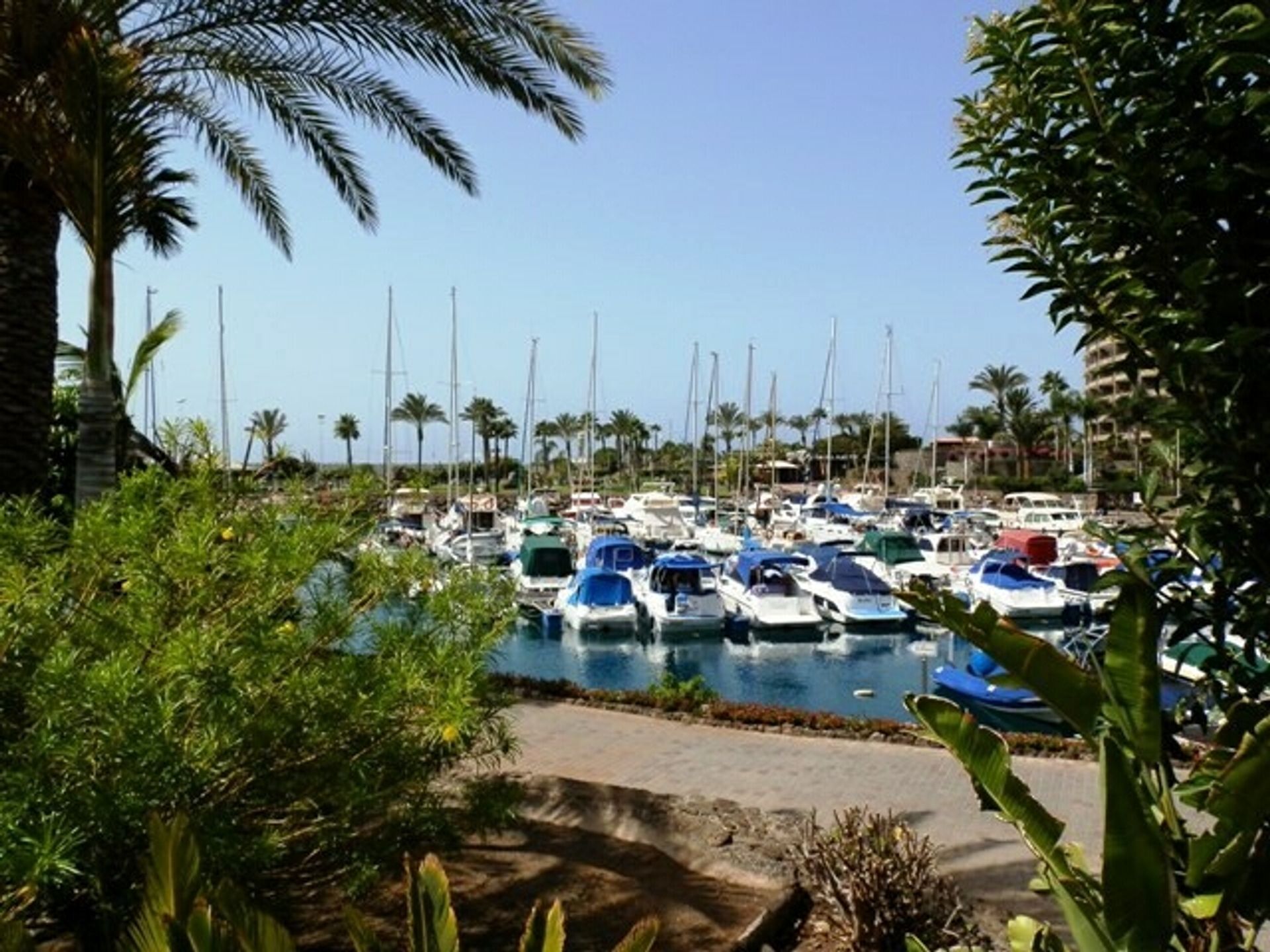 Condominium in Patalavaca, Canarias 10205291