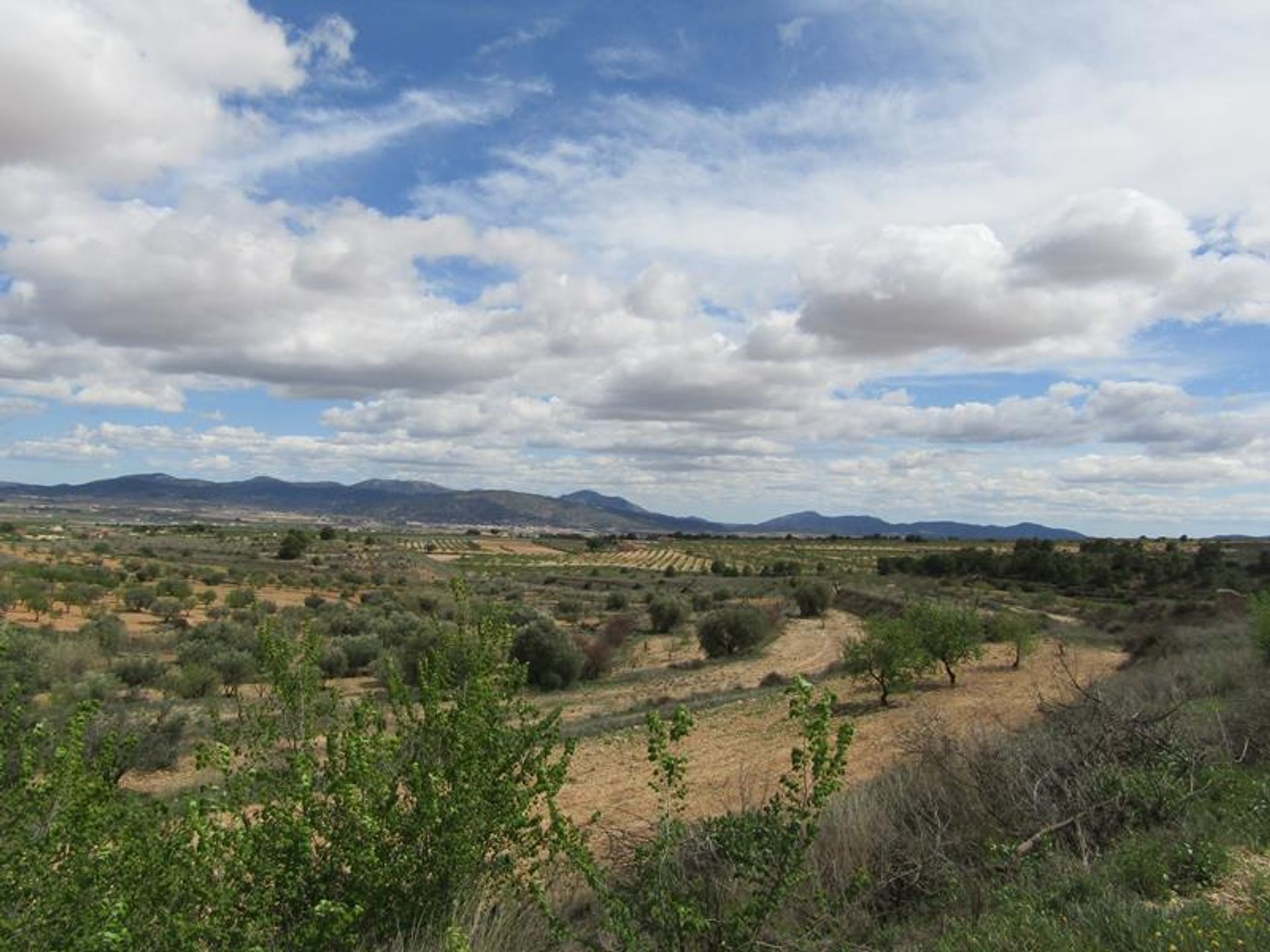 σπίτι σε Pinoso, Valencian Community 10205383