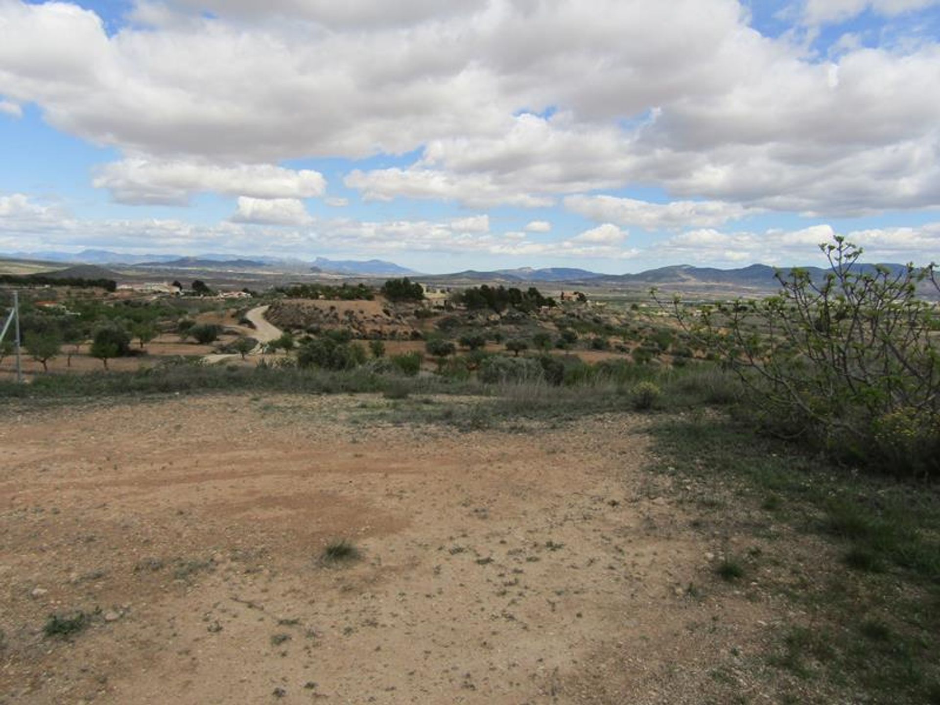 σπίτι σε Pinoso, Valencian Community 10205383