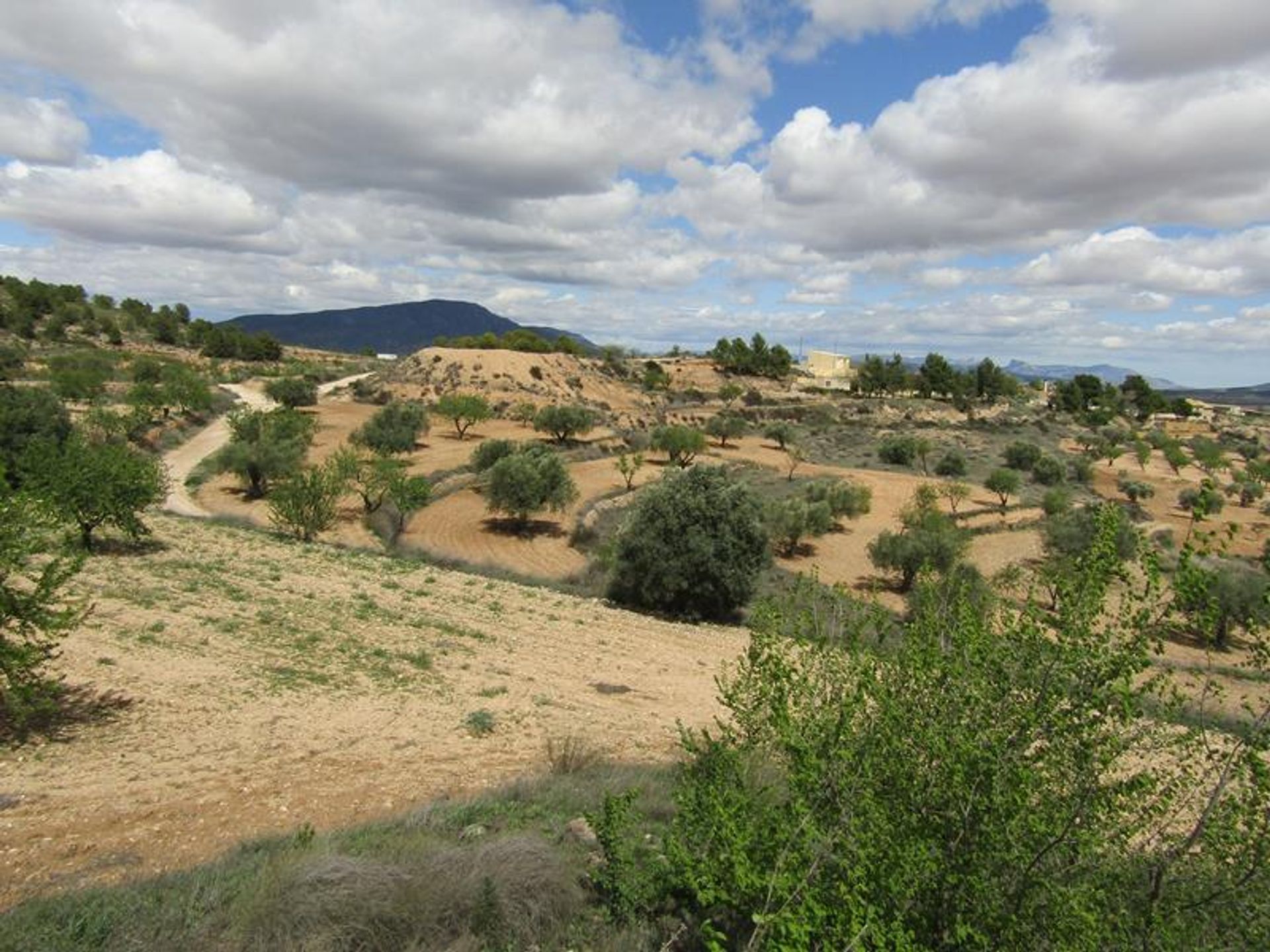 σπίτι σε Pinoso, Valencian Community 10205383