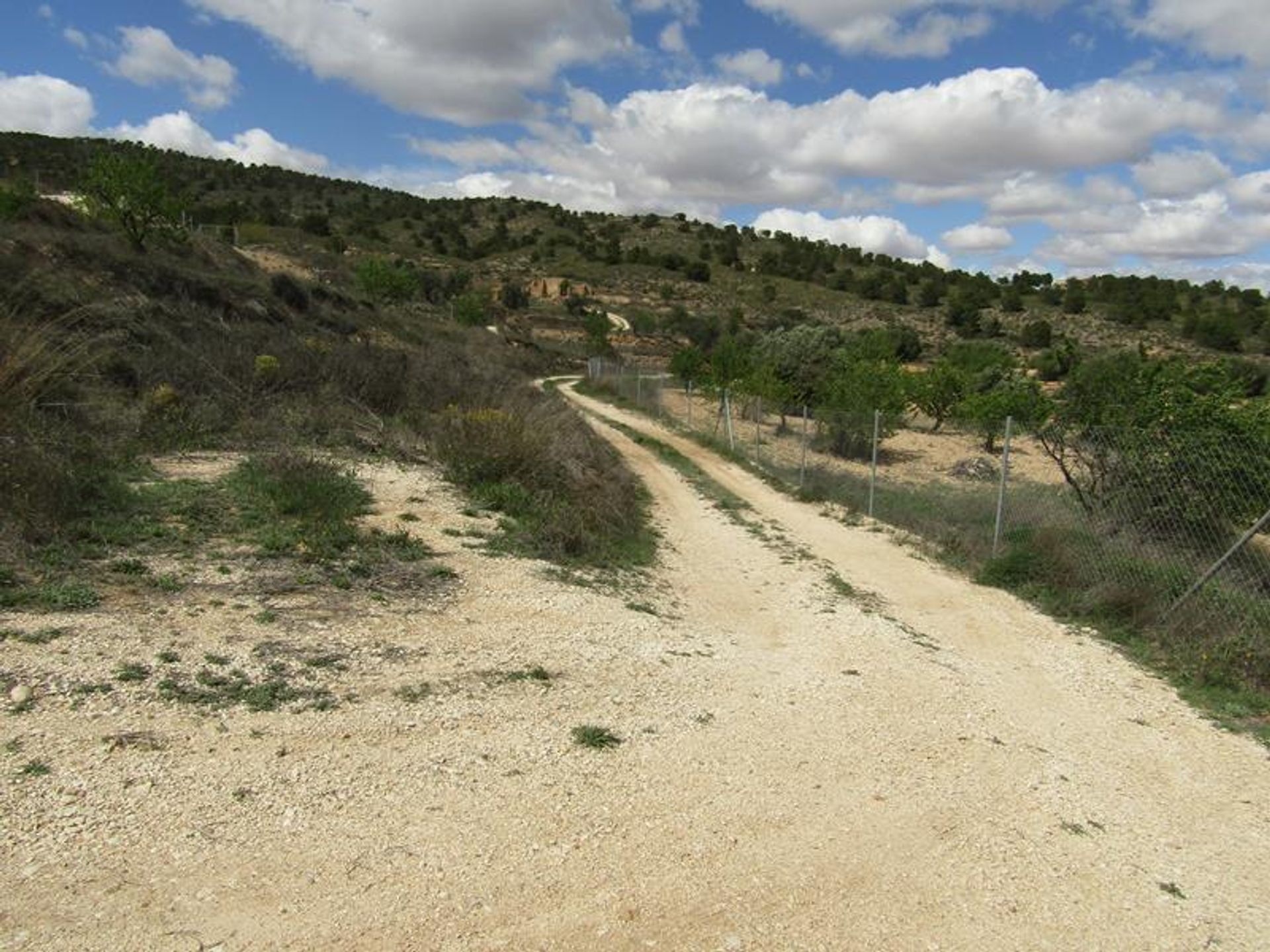 σπίτι σε Pinoso, Valencian Community 10205383