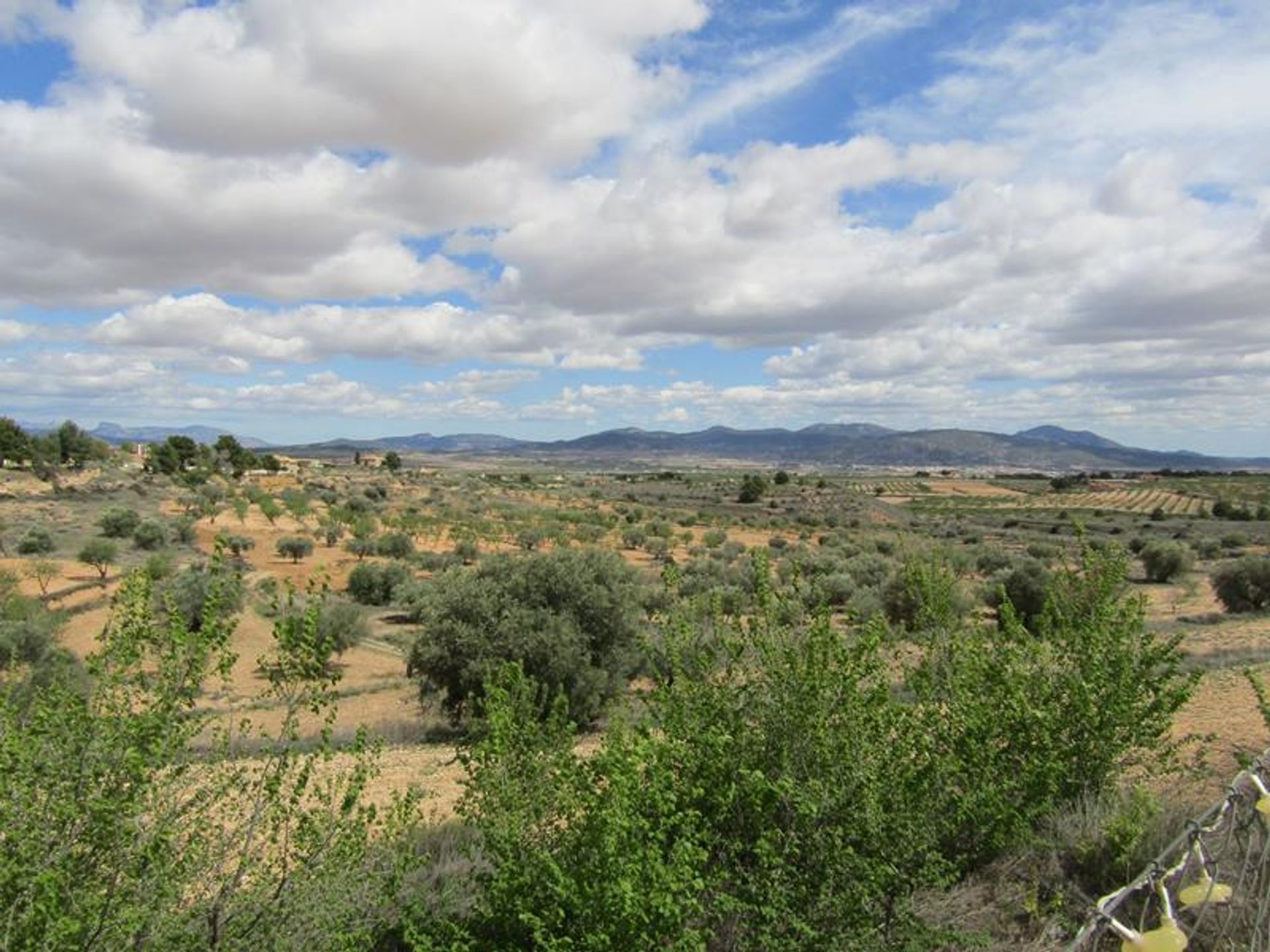 σπίτι σε Pinoso, Valencian Community 10205383