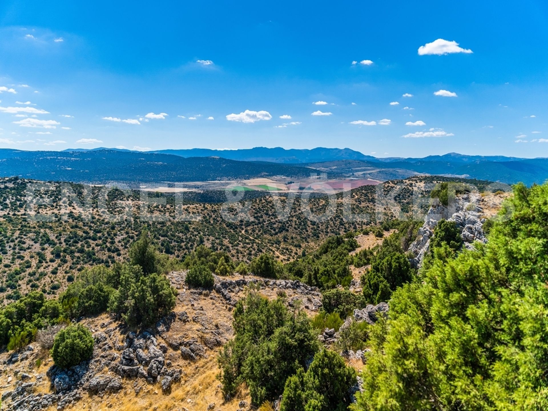 Talo sisään Torrevieja, Comunidad Valenciana 10205437