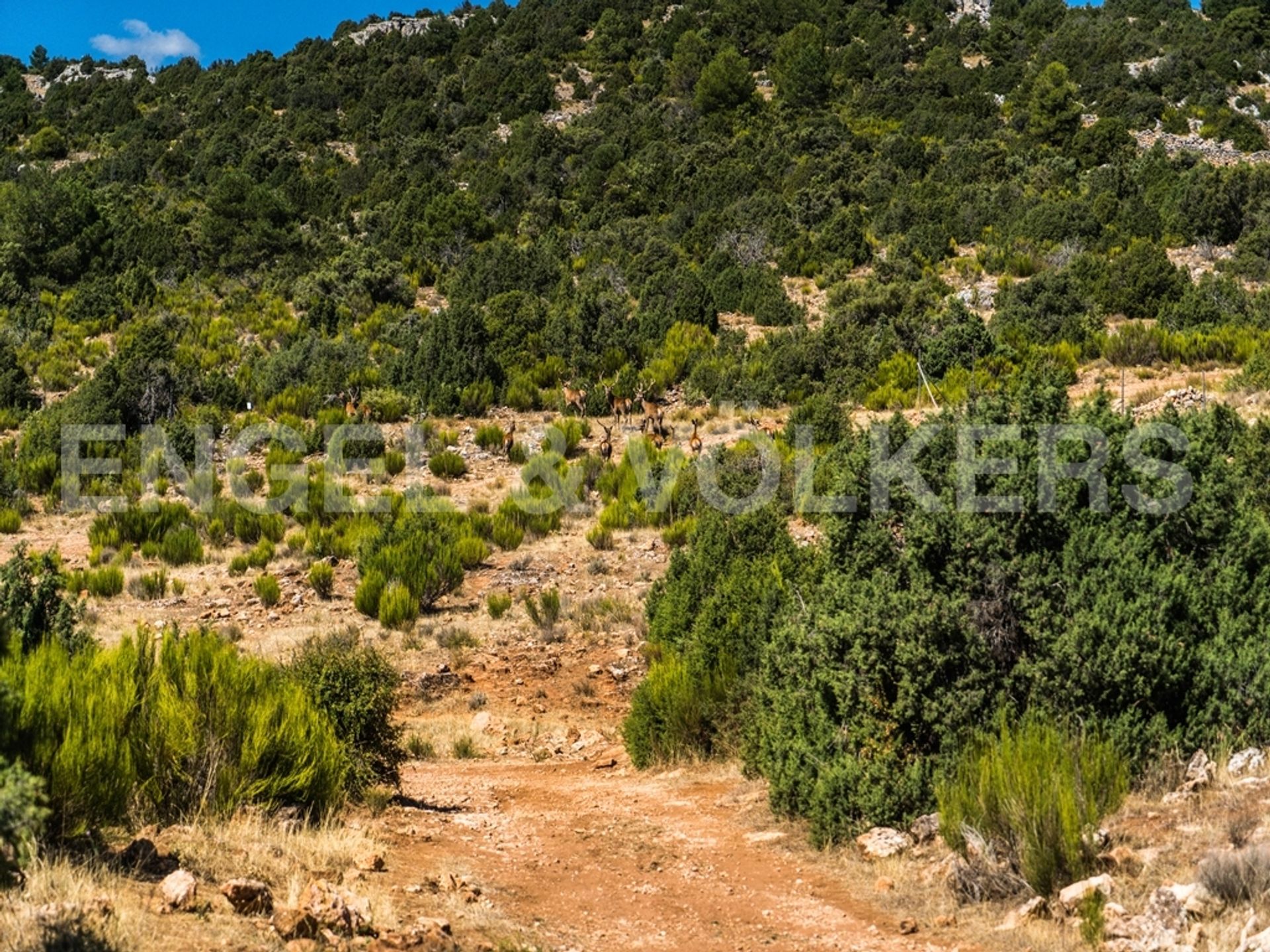 집 에 Torrevieja, Comunidad Valenciana 10205437