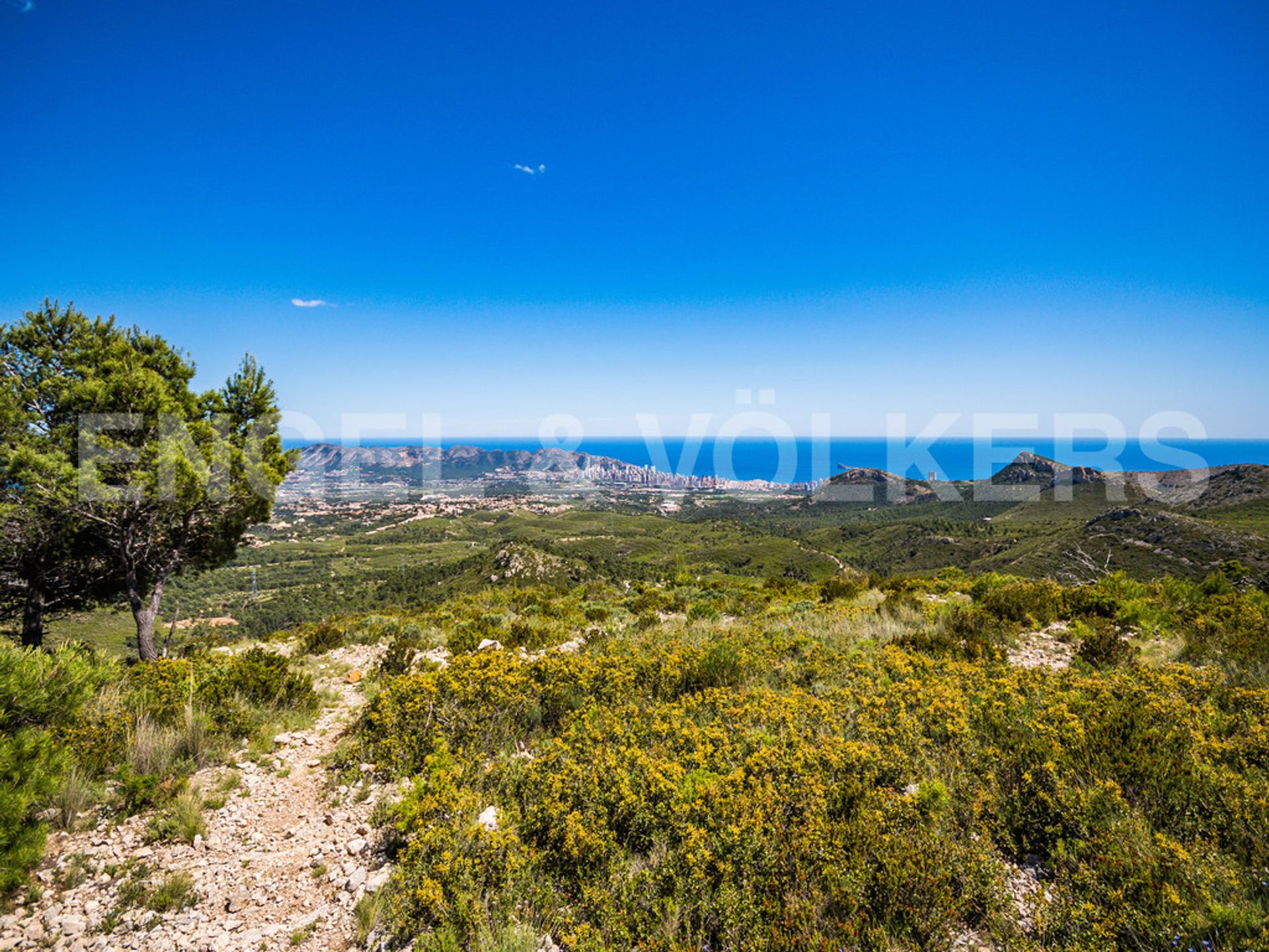 土地 在 Polop, Valencia 10205472