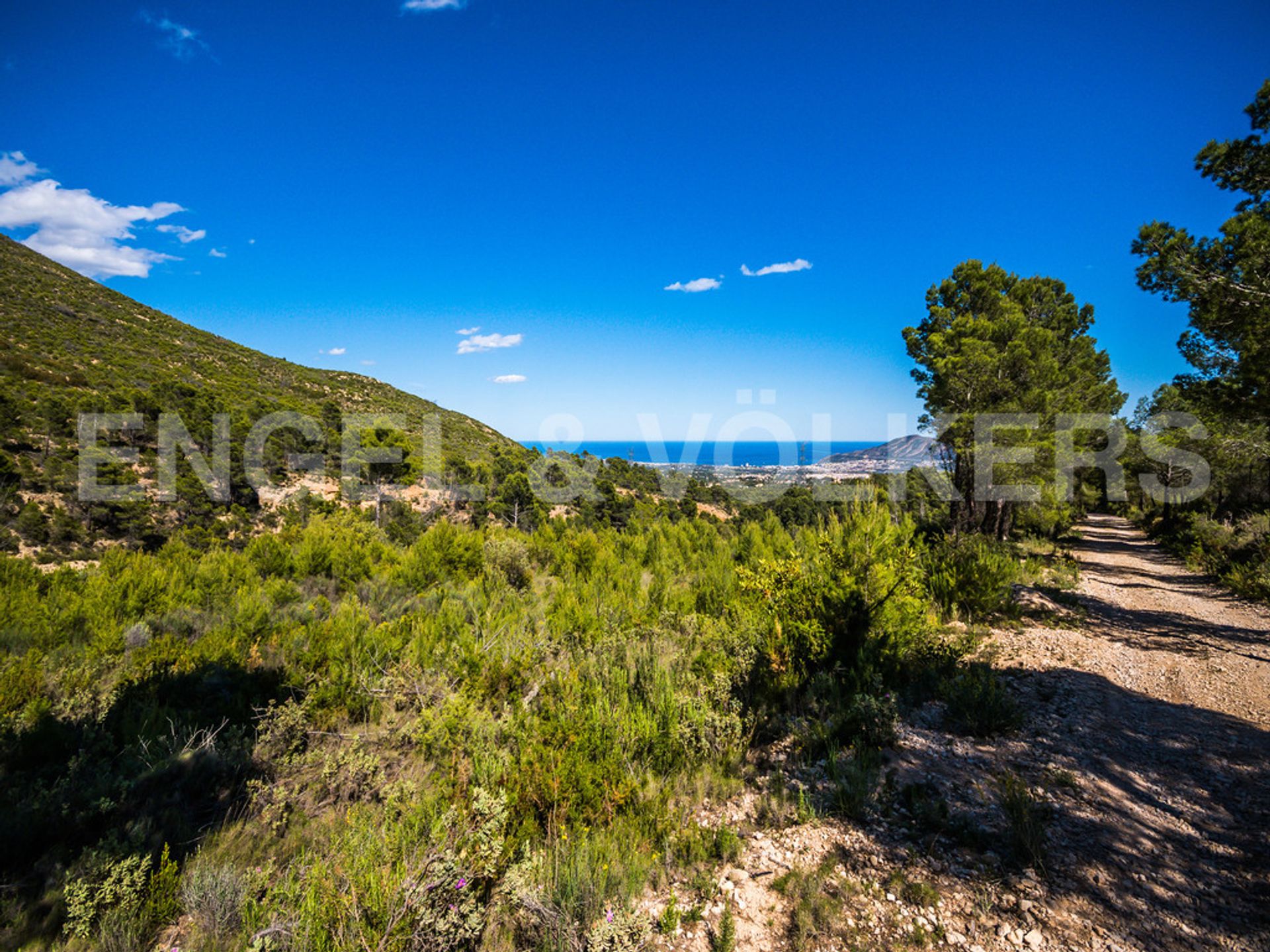 Land i Barony of Polop, Valencian Community 10205472