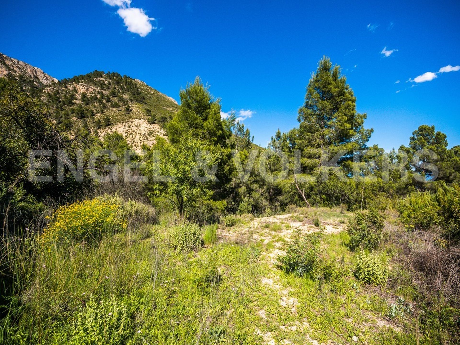 Land i Barony of Polop, Valencian Community 10205472