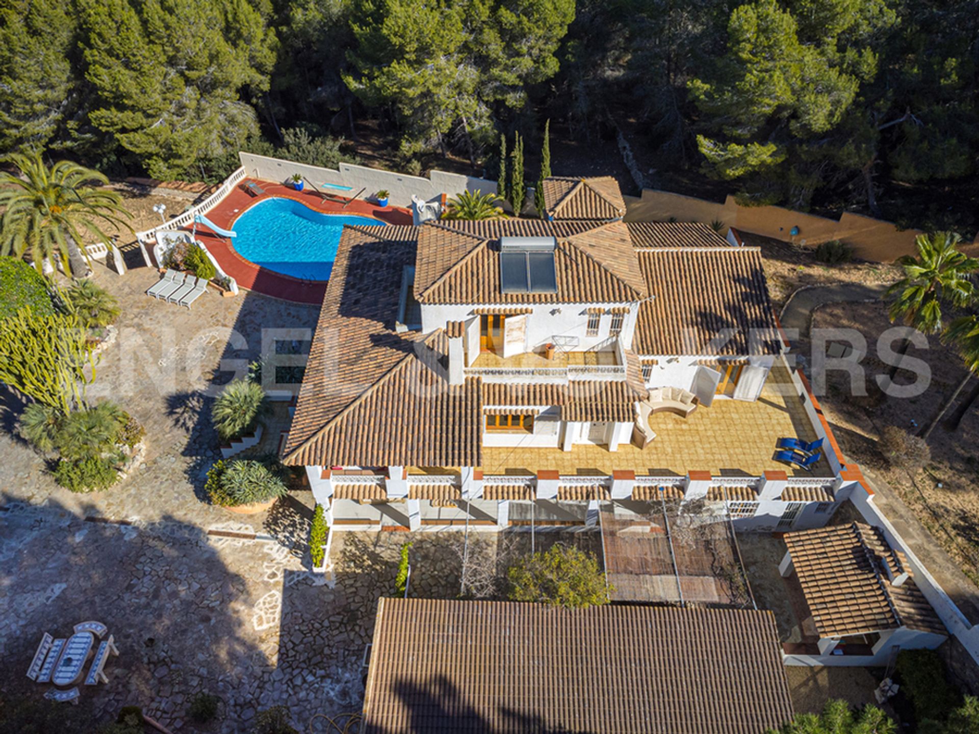 Hus i L'Albir, Valencian Community 10205497