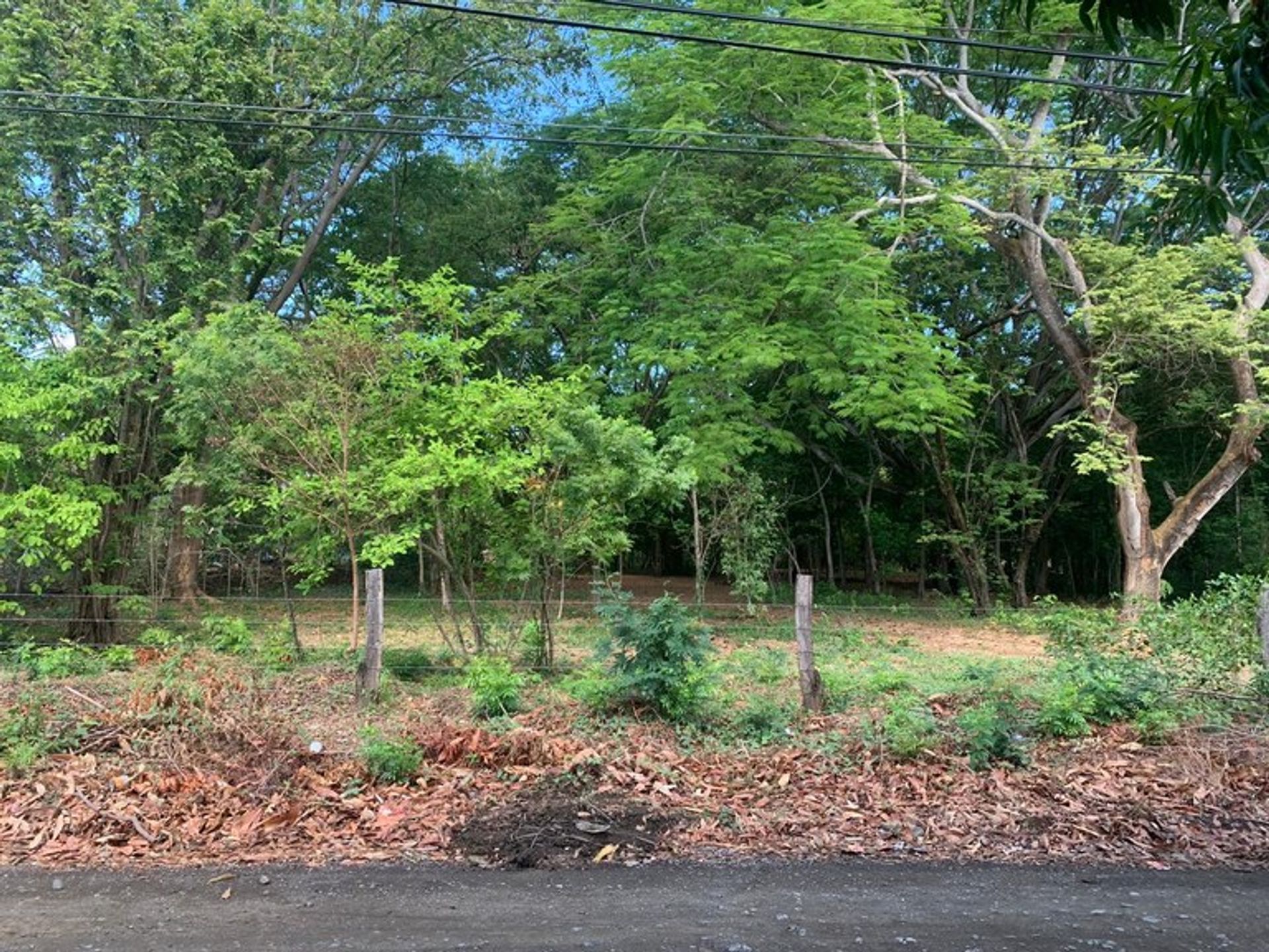 Borettslag i Ángeles, Guanacaste 10205998