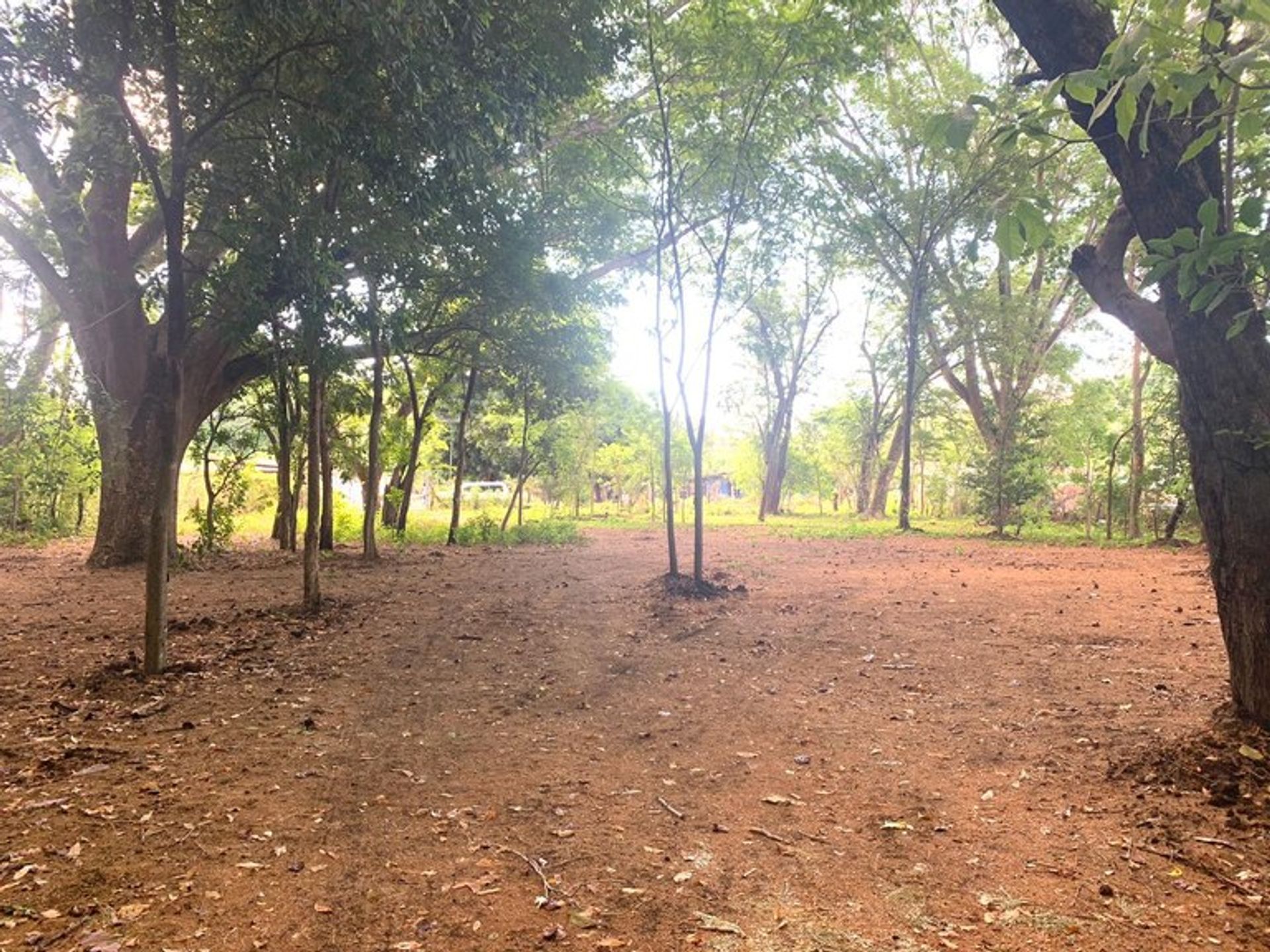 Condomínio no Ángeles, Guanacaste 10205999