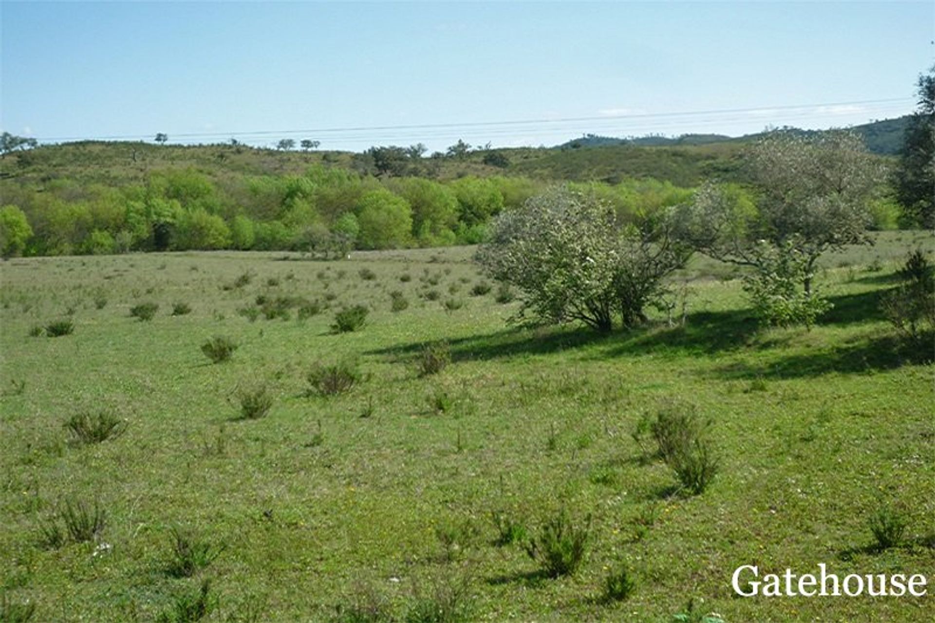 अन्य में São Bartolomeu de Messines, Faro District 10206088