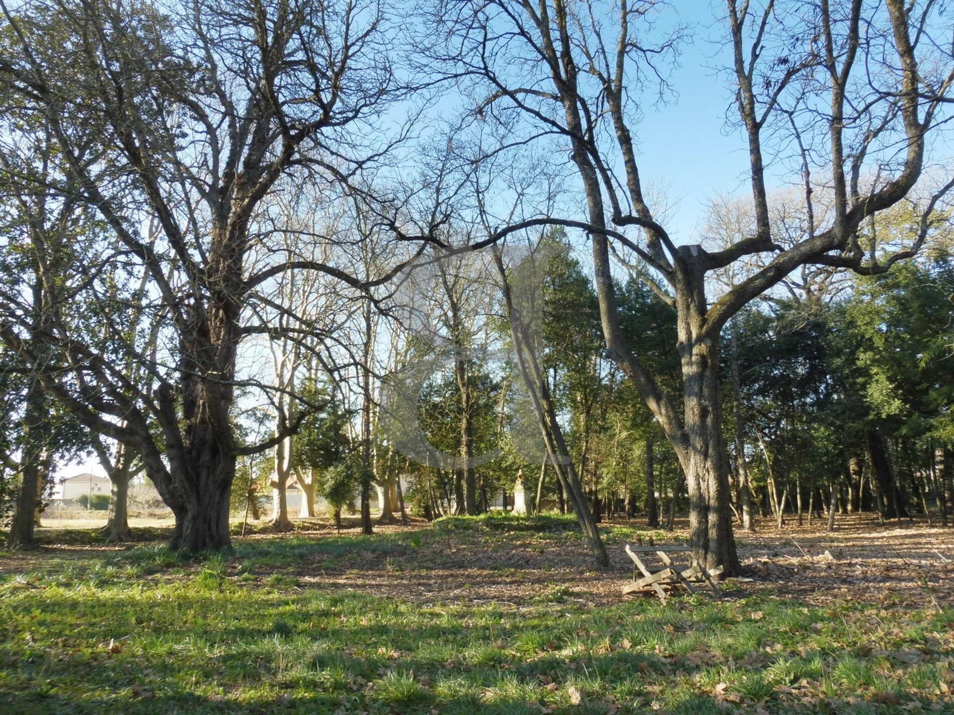 Lain di Pernes-les-Fontaines, Provence-Alpes-Côte d'Azur 10206134