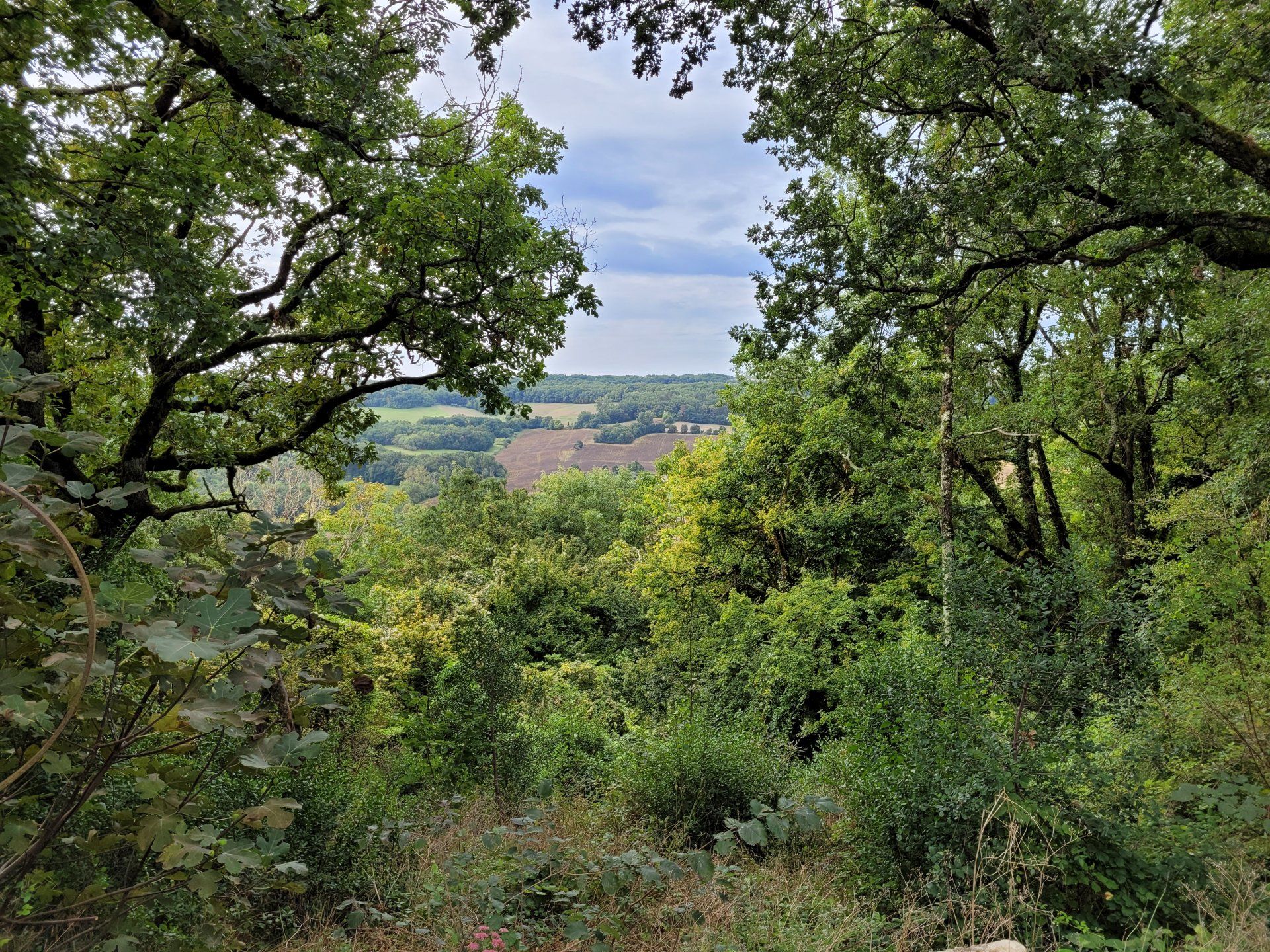 房子 在 Beauville, Nouvelle-Aquitaine 10206155