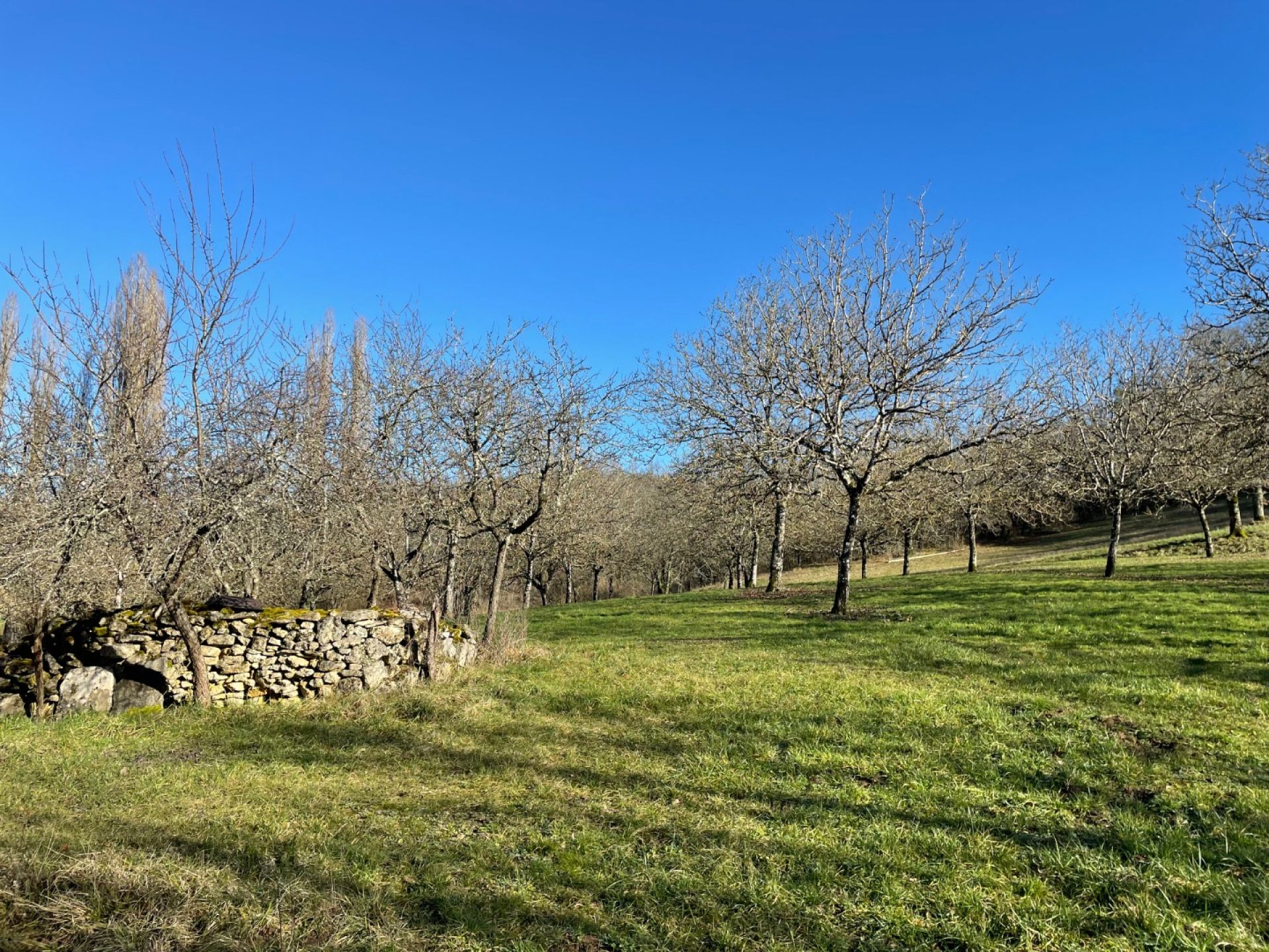 Rumah di Montignac, Nouvelle-Aquitaine 10206211