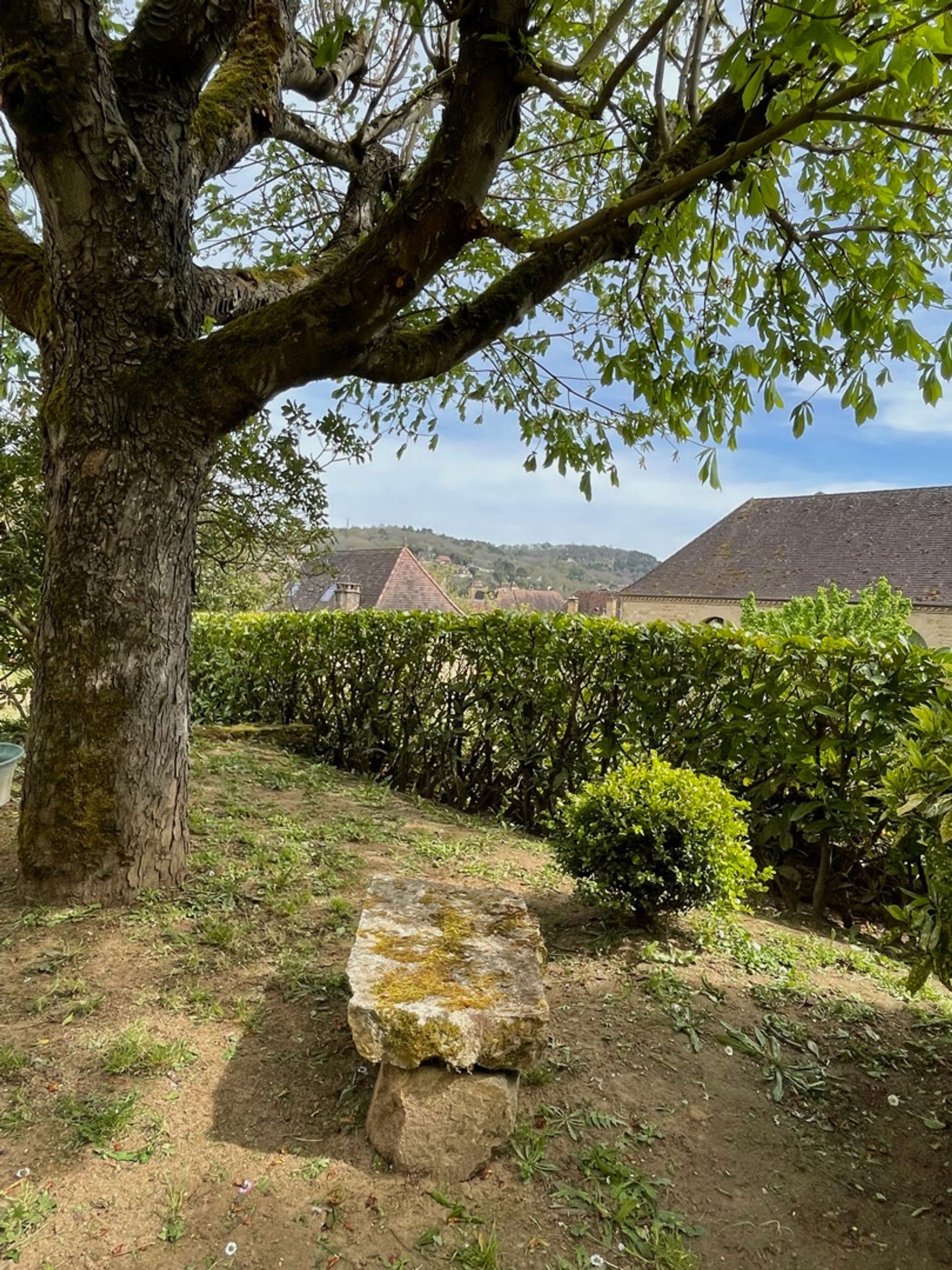 Casa nel Domme, Nouvelle-Aquitaine 10206212