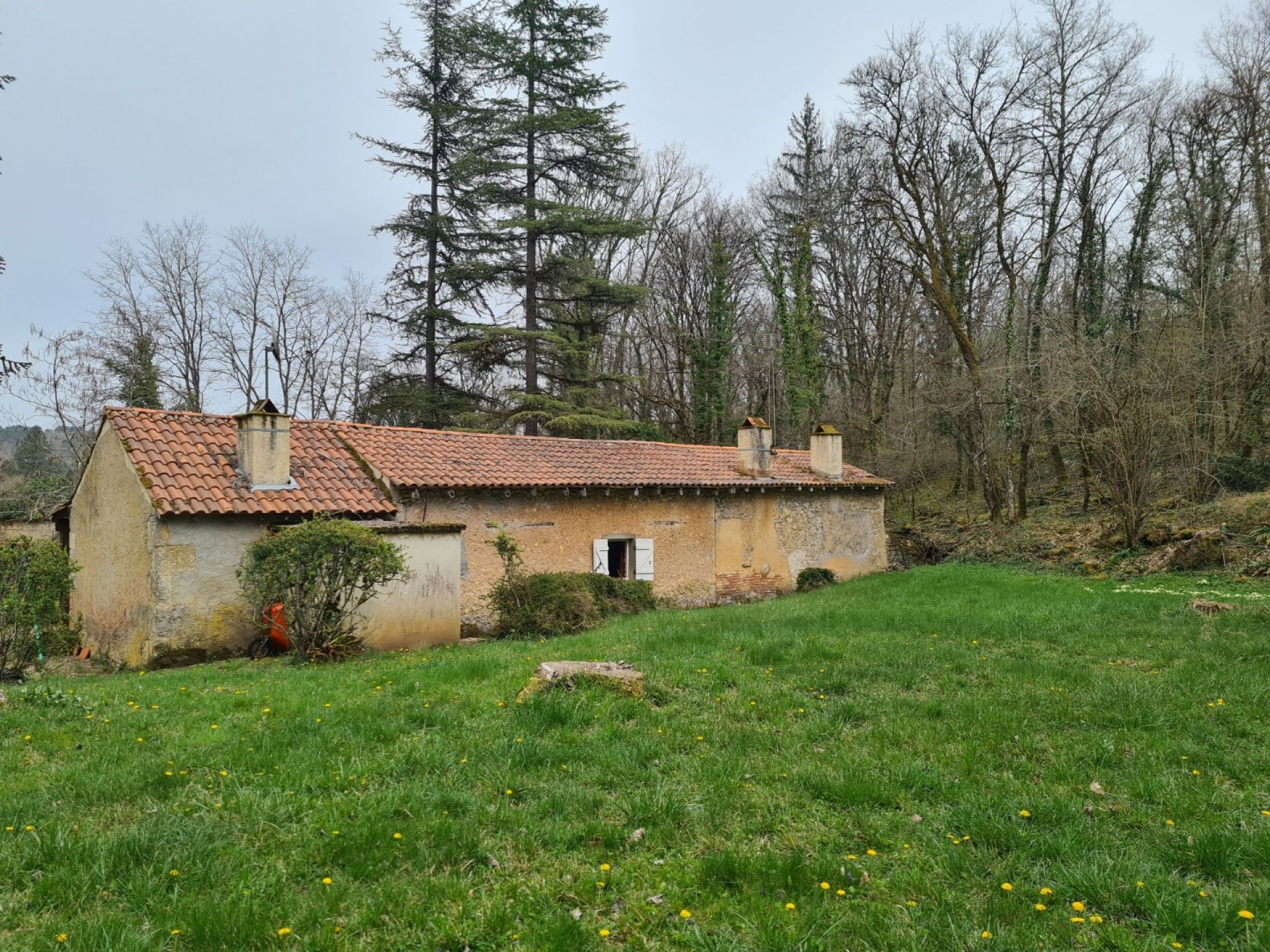 Hus i Les Eyzies, Nouvelle-Aquitaine 10206231