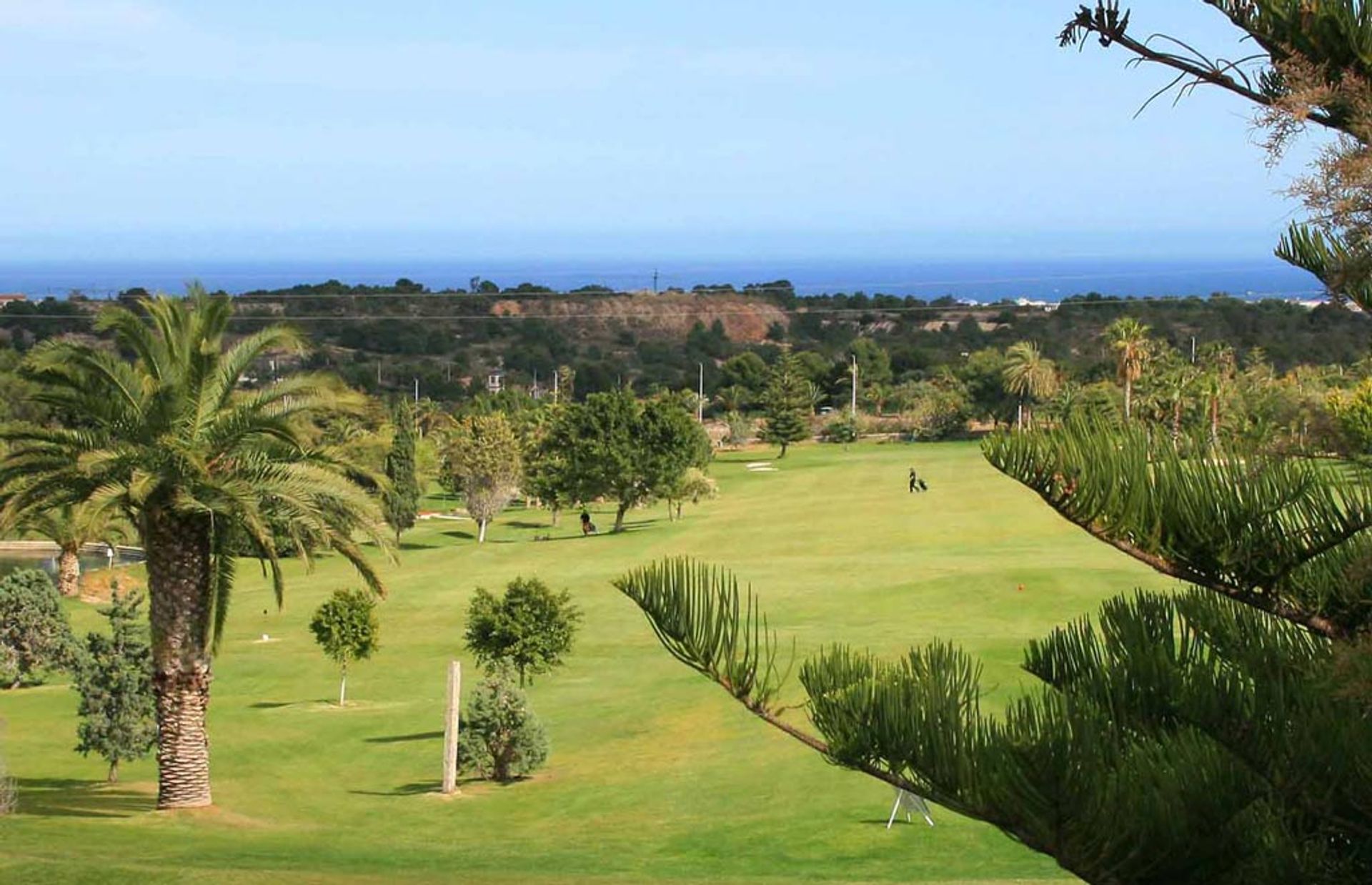 Eigentumswohnung im Dehesa de Campoamor, Valencian Community 10206804