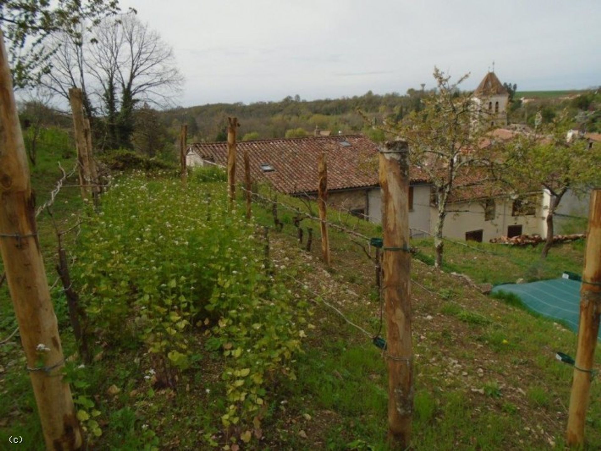 Hus i Nanteuil-en-Vallee, Nouvelle-Aquitaine 10206927