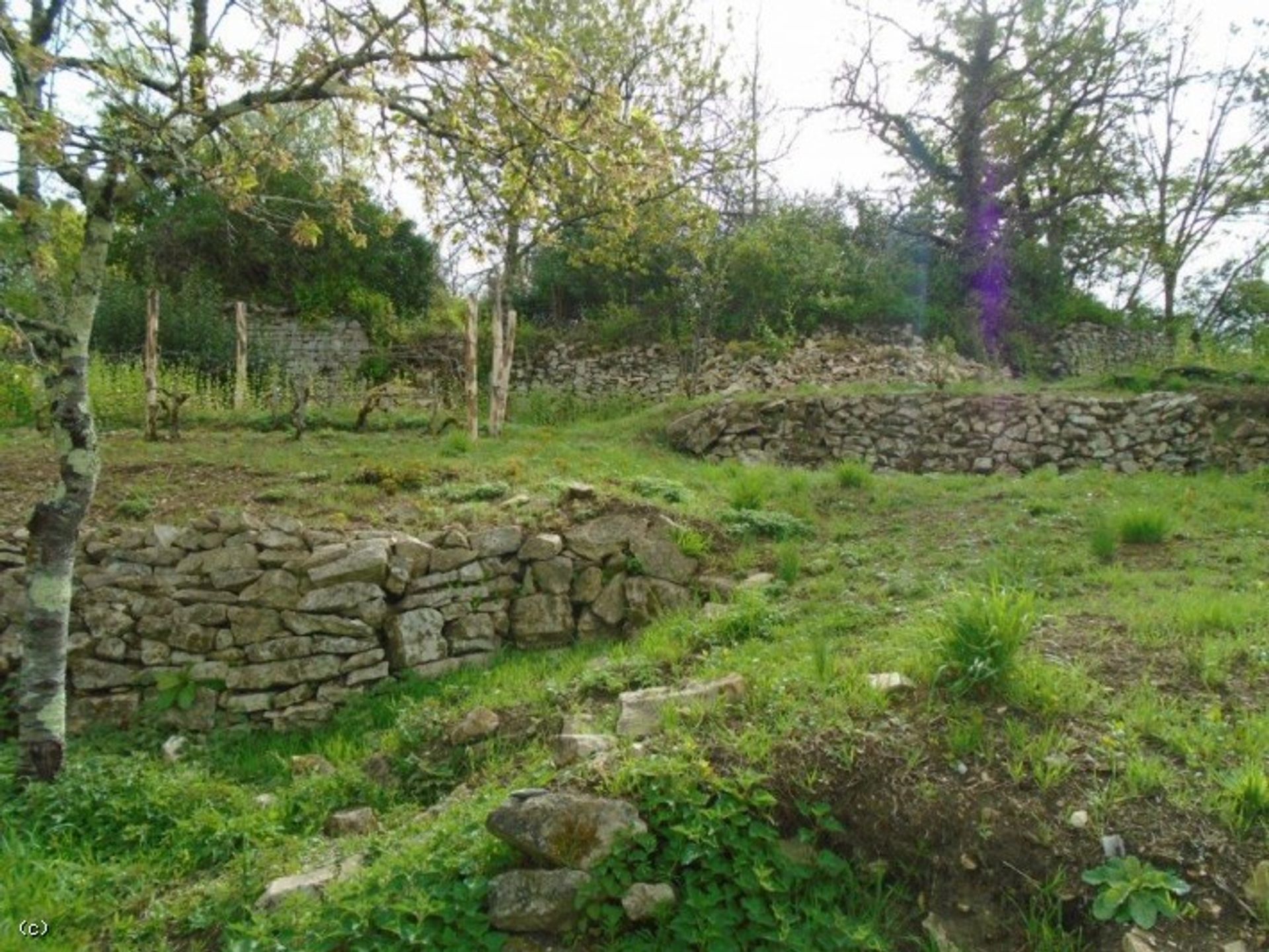 Hus i Nanteuil-en-Vallee, Nouvelle-Aquitaine 10206927