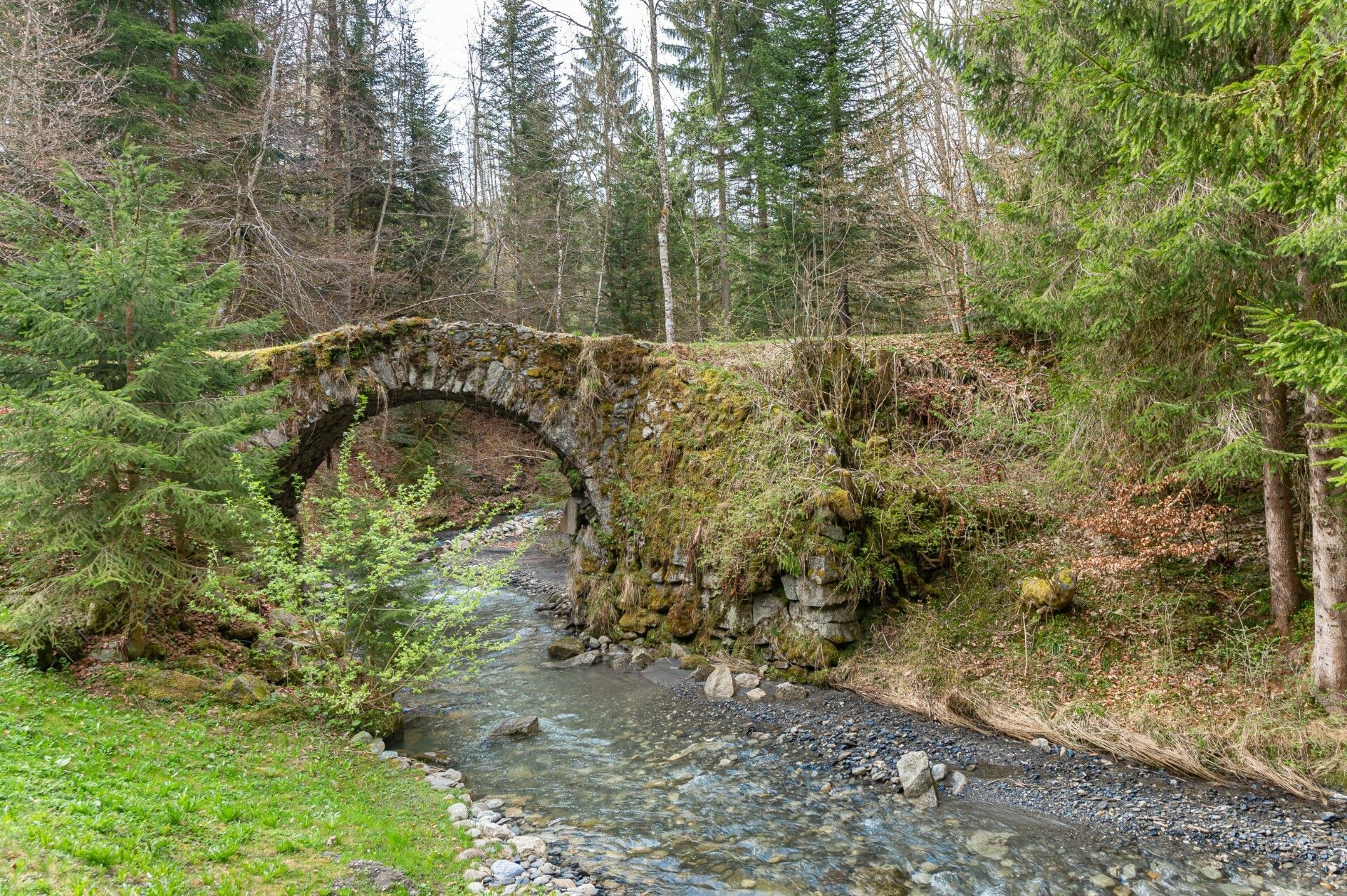 loger dans Combloux, Auvergne-Rhône-Alpes 10207431