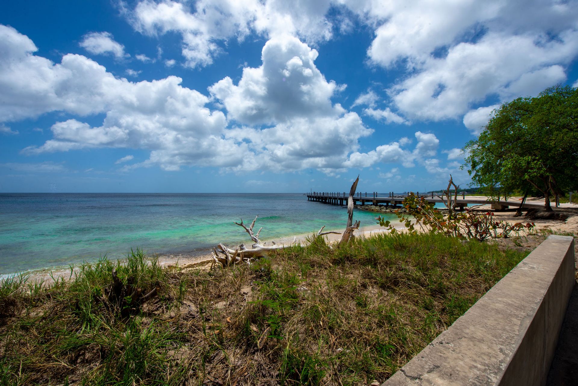 Земля в Speightstown,  10207503