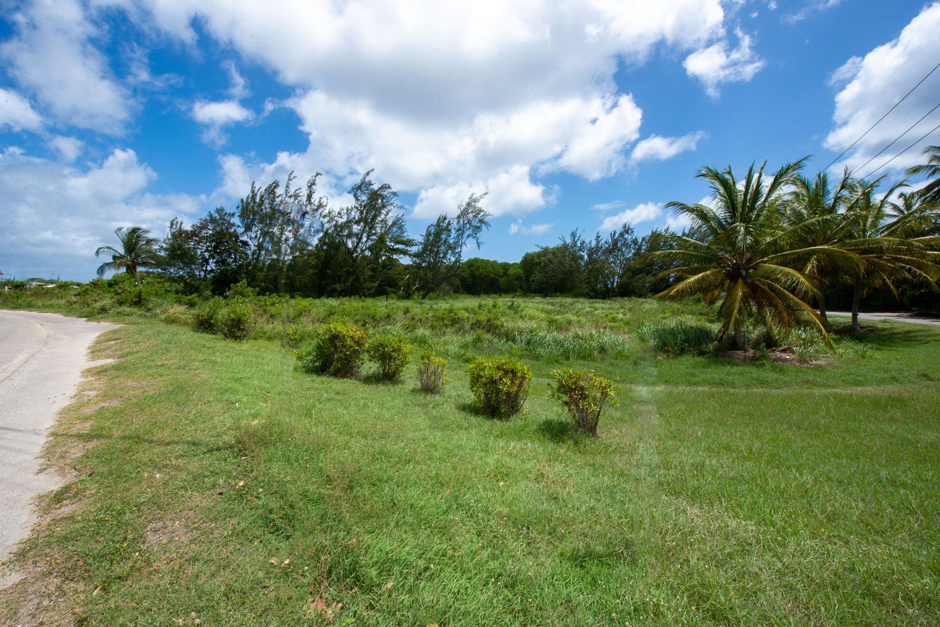 Земля в Speightstown,  10207503